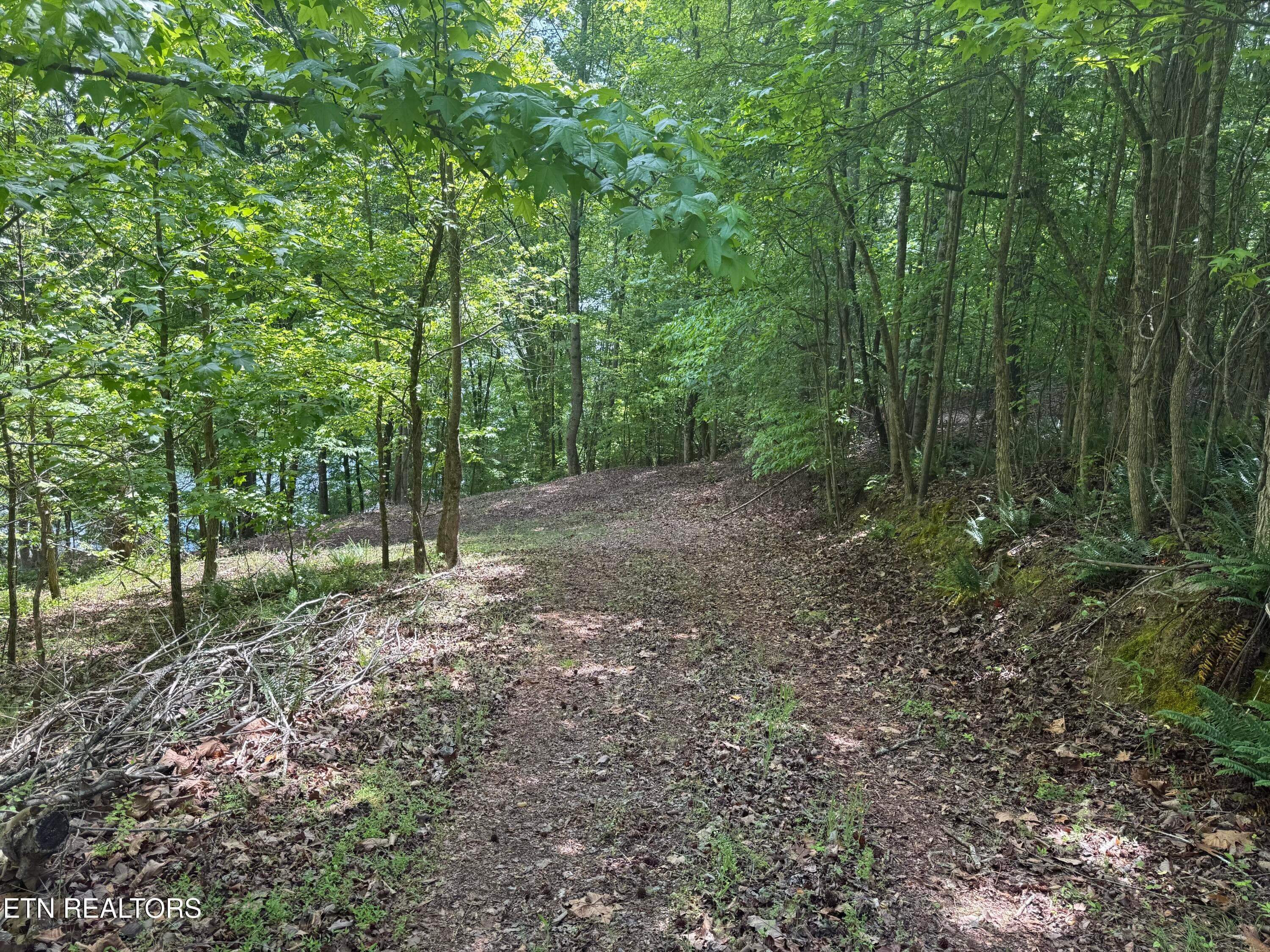 INDIAN 2 - 1196 Indian Shadows Drive 28, Ten Mile, TN 37880