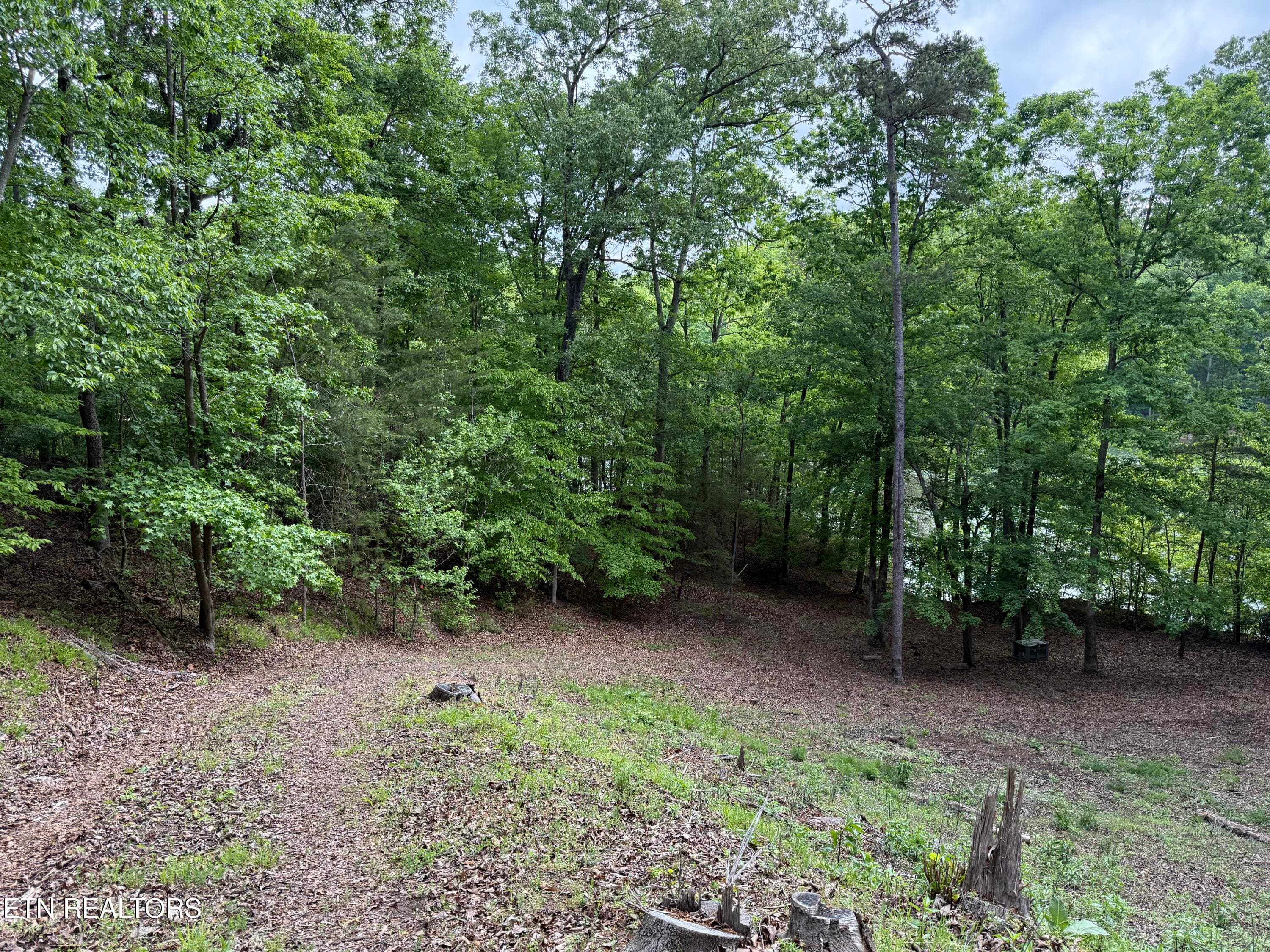 INDIAN 18 - 1196 Indian Shadows Drive 28, Ten Mile, TN 37880