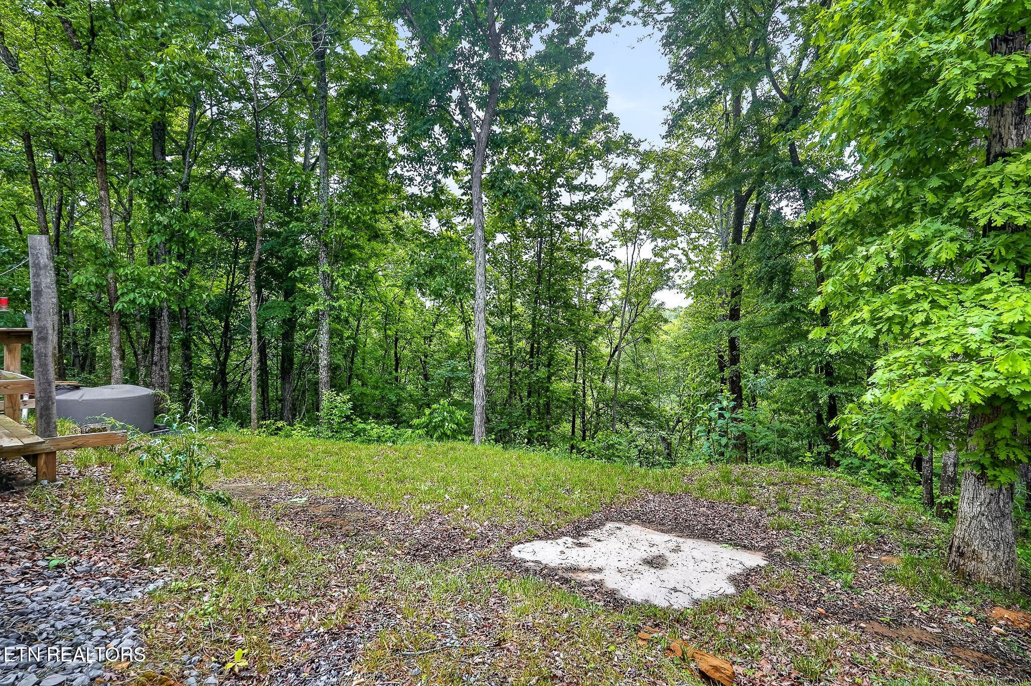 DSC02389 - 853 Rock Springs Rd, Celina, TN 38551