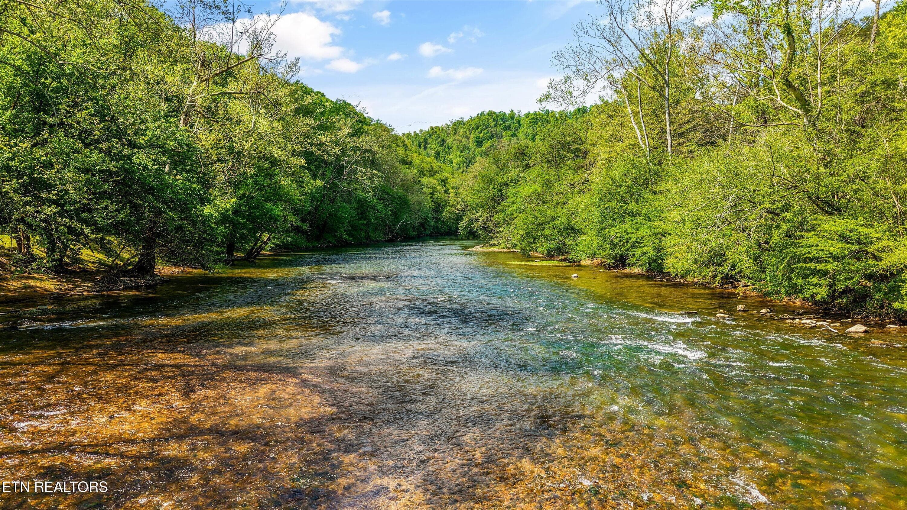 3F31E861-7202-49F8-A628-40F555F40032 - 4151 Cave Springs Rd, Tazewell, TN 37879