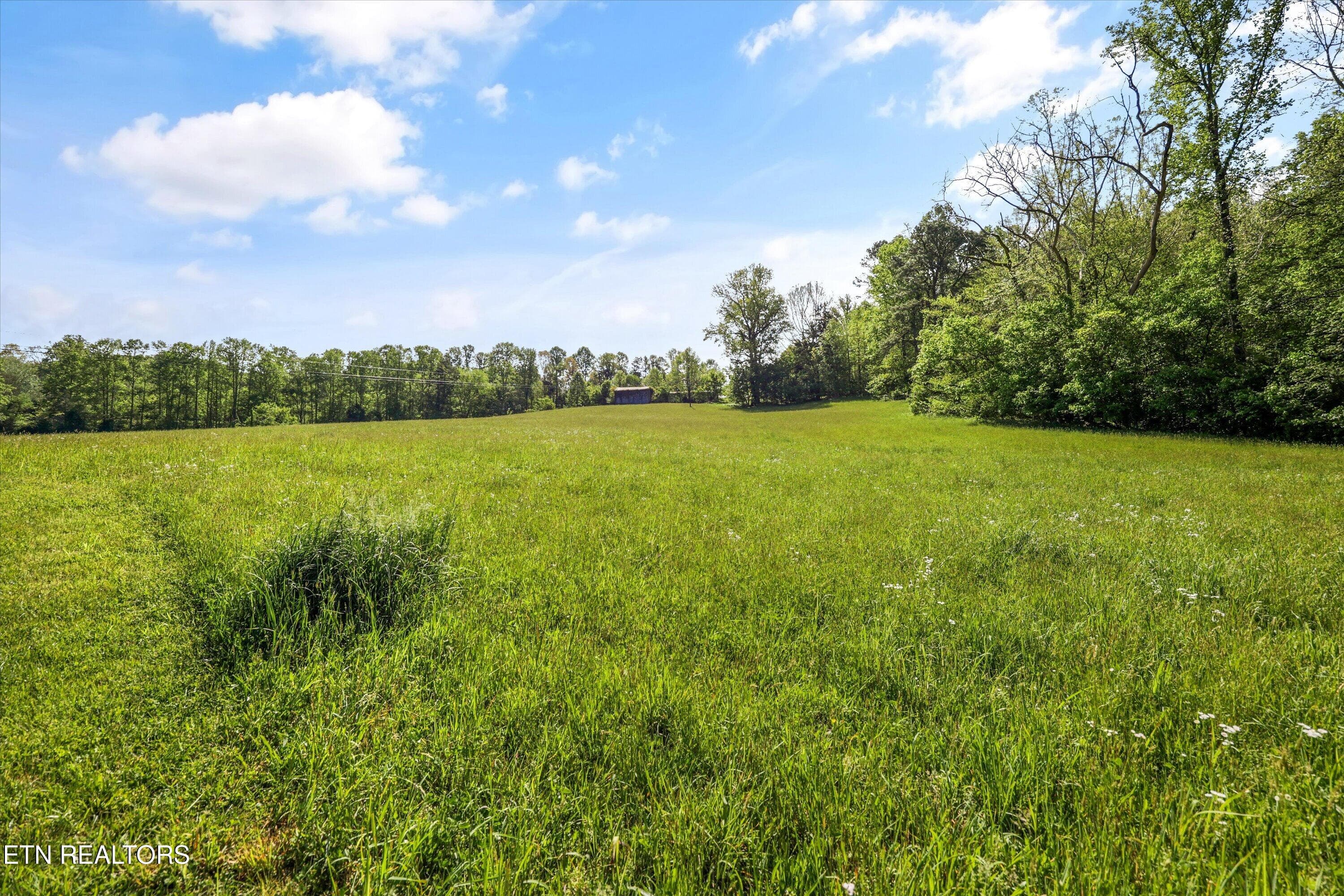 80A36386-96E8-45A6-A31F-426002F9B71C - 4151 Cave Springs Rd, Tazewell, TN 37879