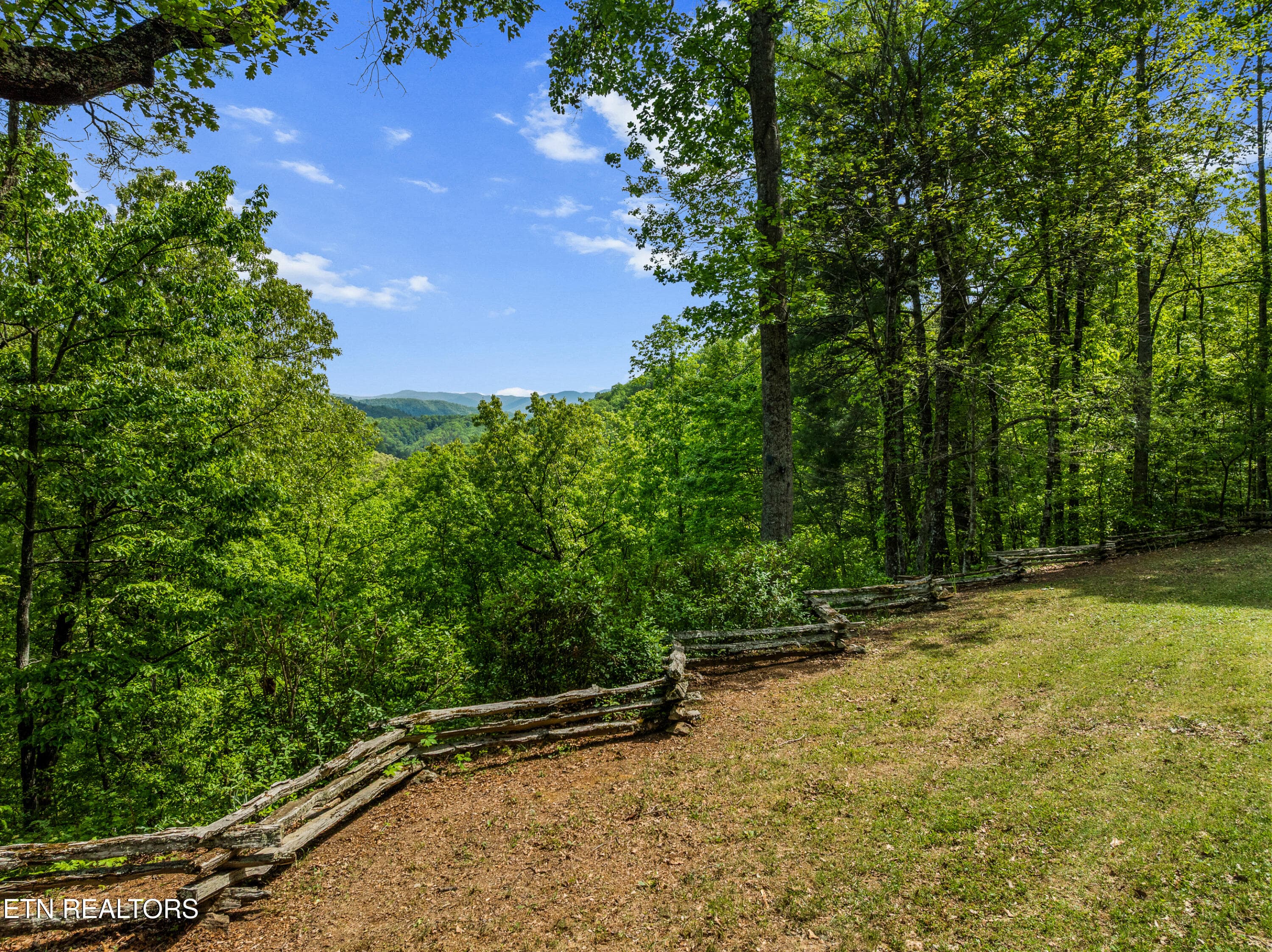 DJI_0482 - 1043 Reagan Springs Rd, Townsend, TN 37882