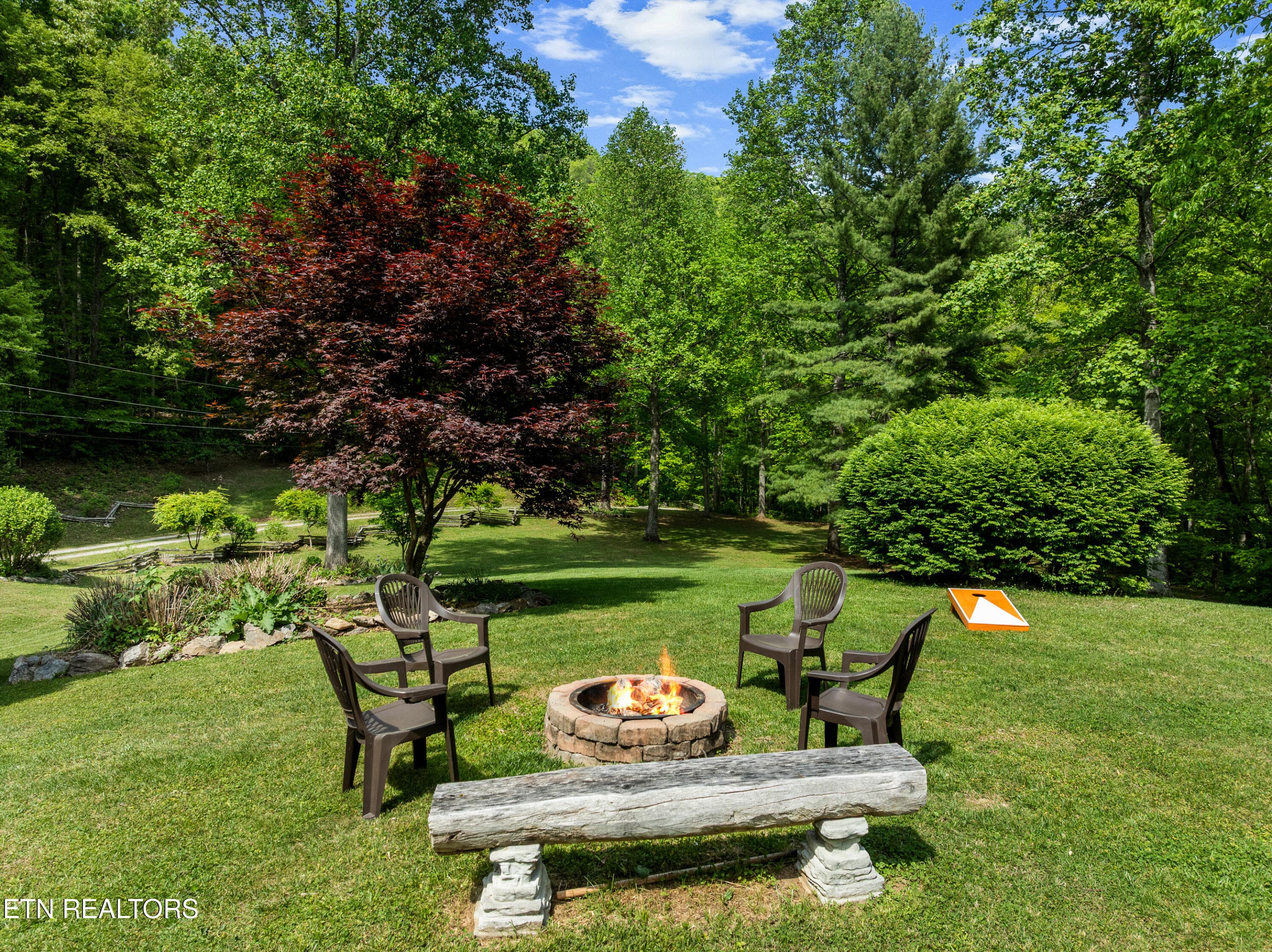 DJI_0503 - 1043 Reagan Springs Rd, Townsend, TN 37882