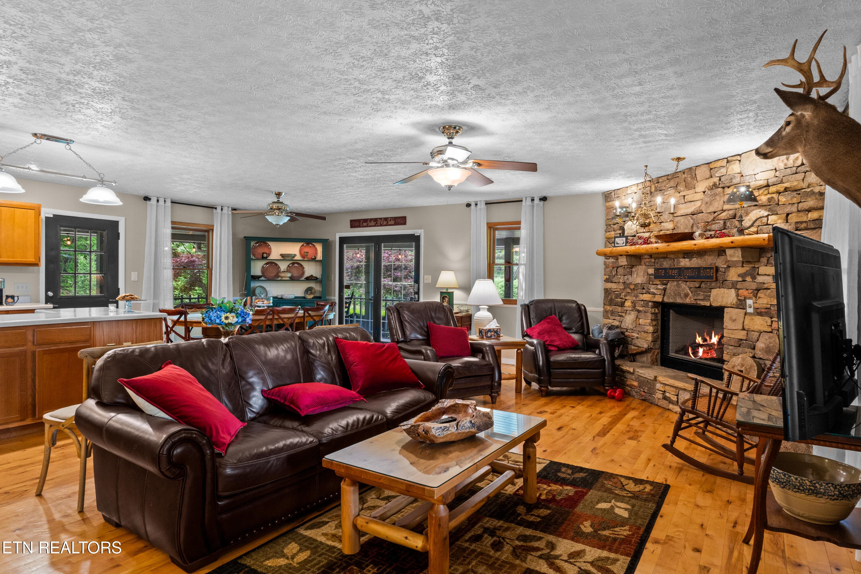 DSC04720 - 1043 Reagan Springs Rd, Townsend, TN 37882