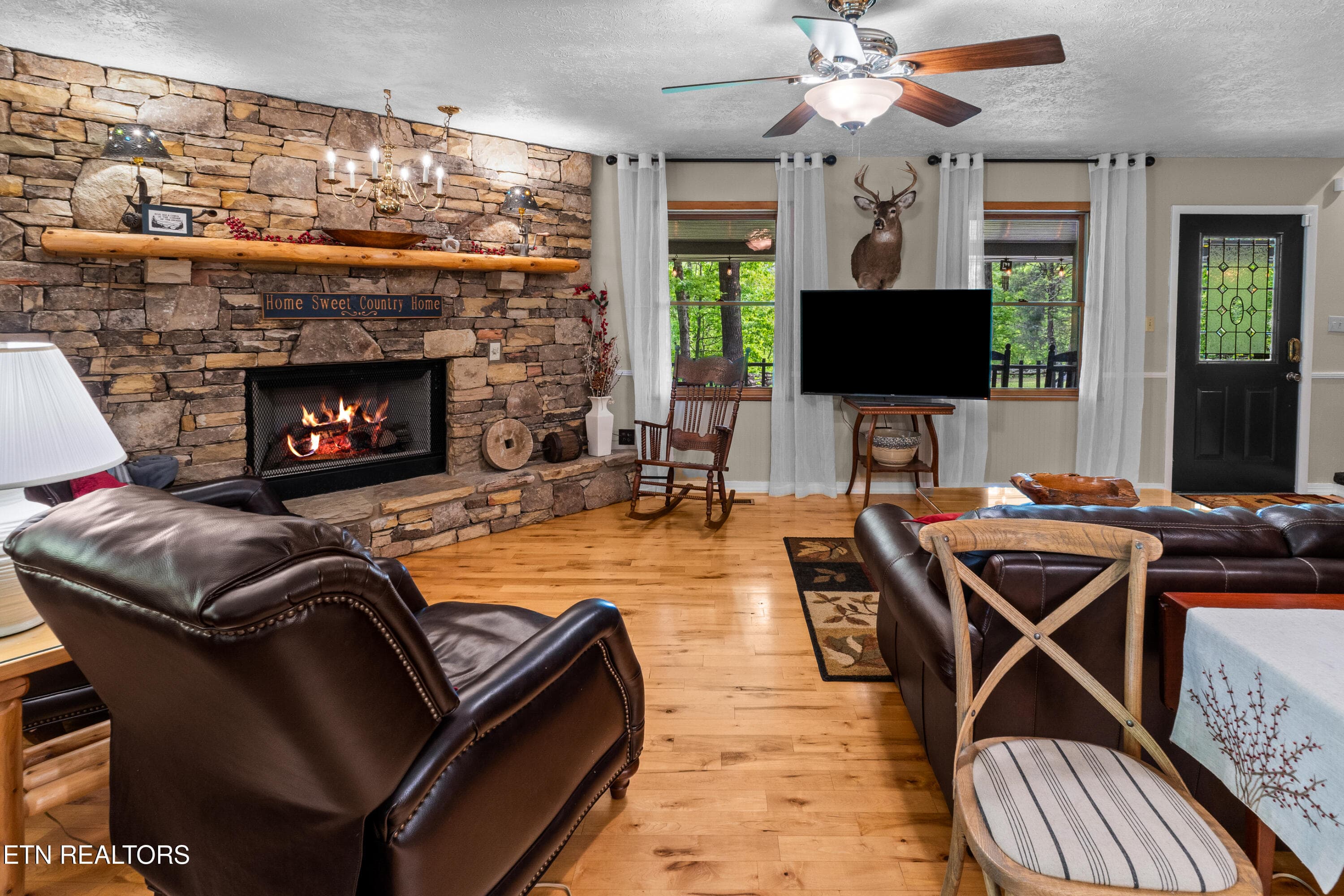 DSC04730 - 1043 Reagan Springs Rd, Townsend, TN 37882