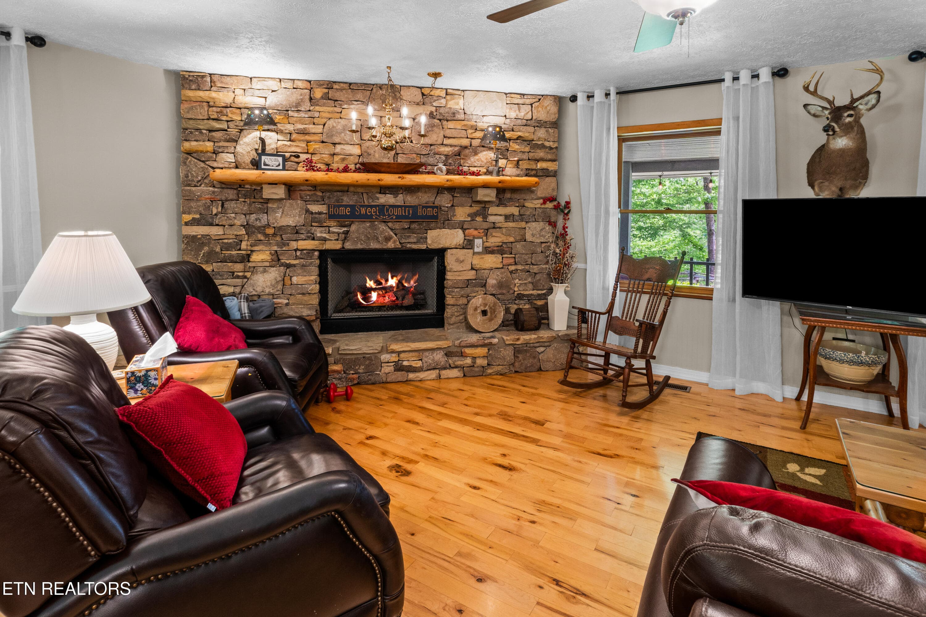 DSC04735 - 1043 Reagan Springs Rd, Townsend, TN 37882