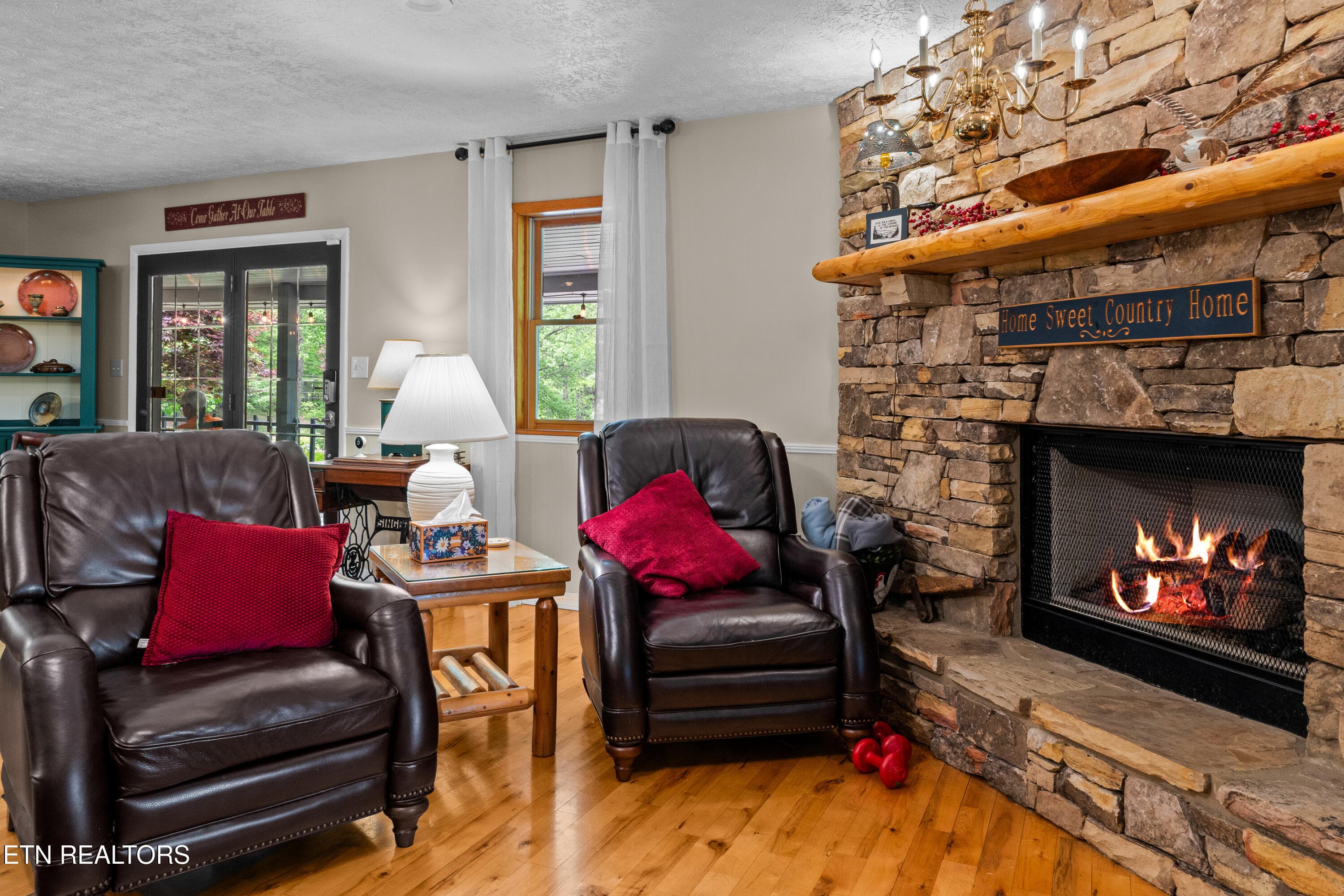 DSC04745 - 1043 Reagan Springs Rd, Townsend, TN 37882