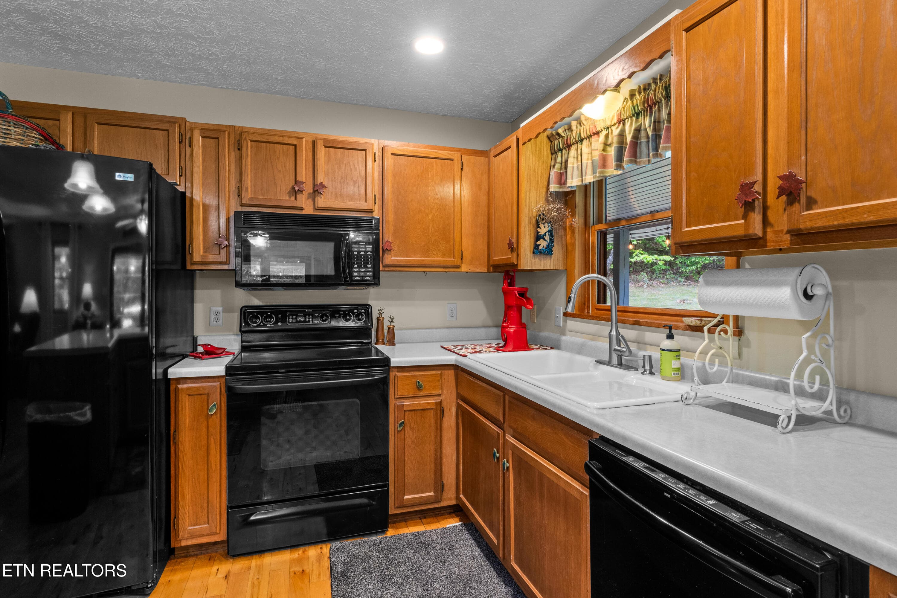 DSC04770 - 1043 Reagan Springs Rd, Townsend, TN 37882