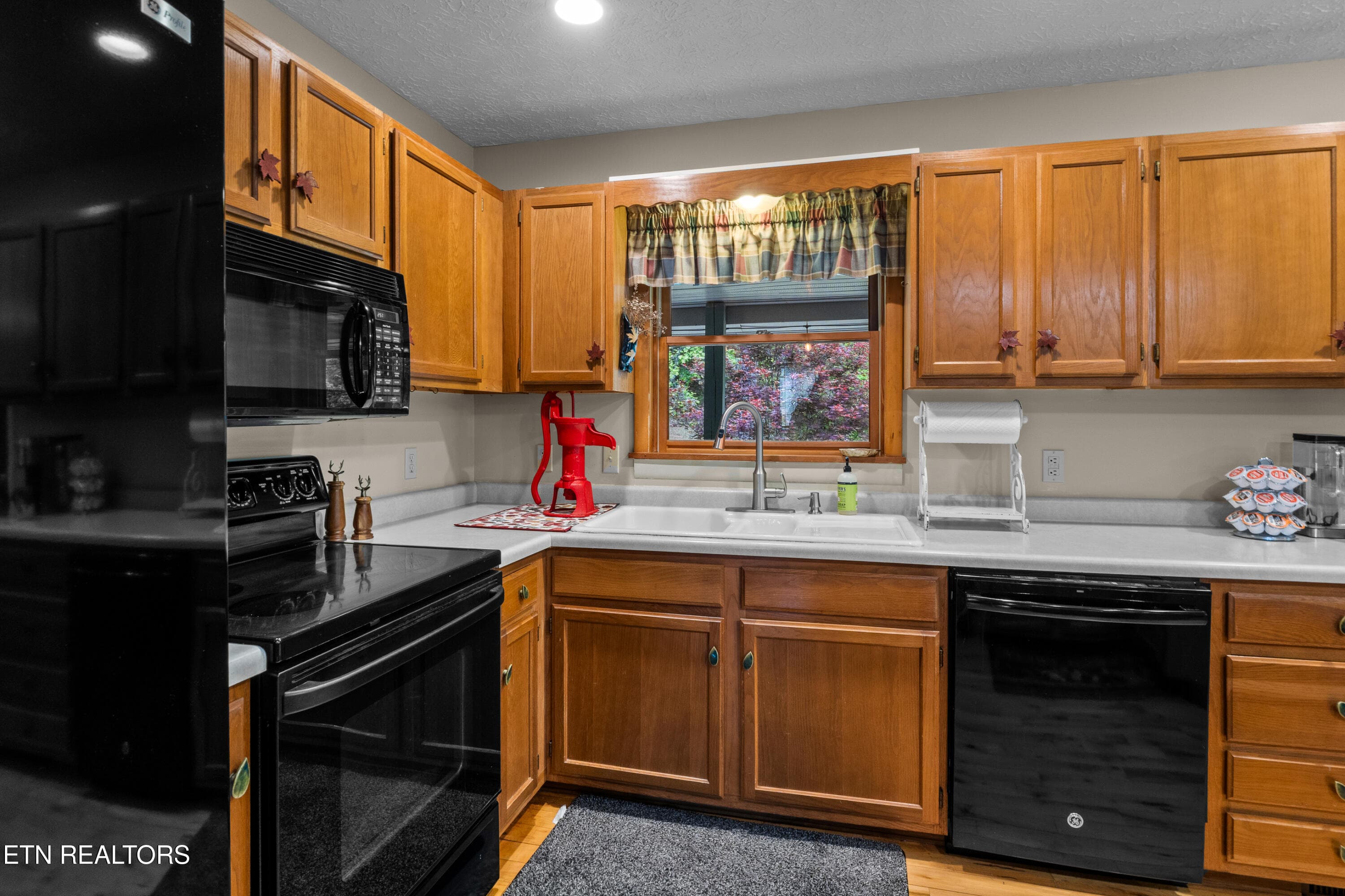 DSC04780 - 1043 Reagan Springs Rd, Townsend, TN 37882