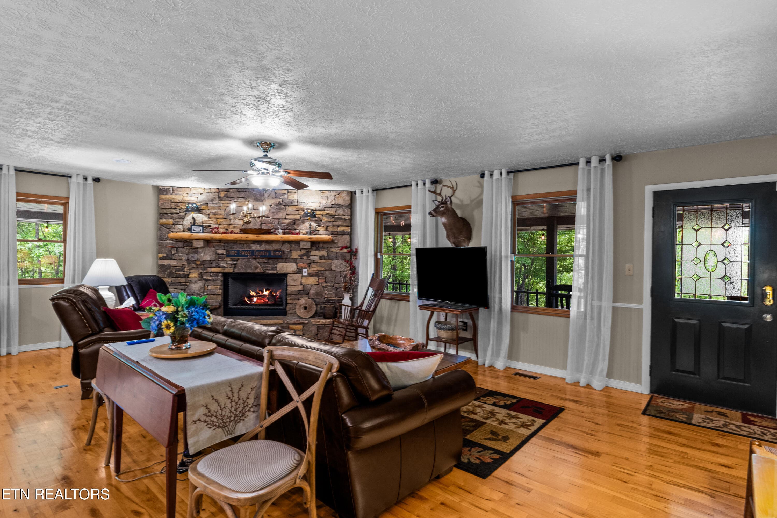 DSC04785 - 1043 Reagan Springs Rd, Townsend, TN 37882