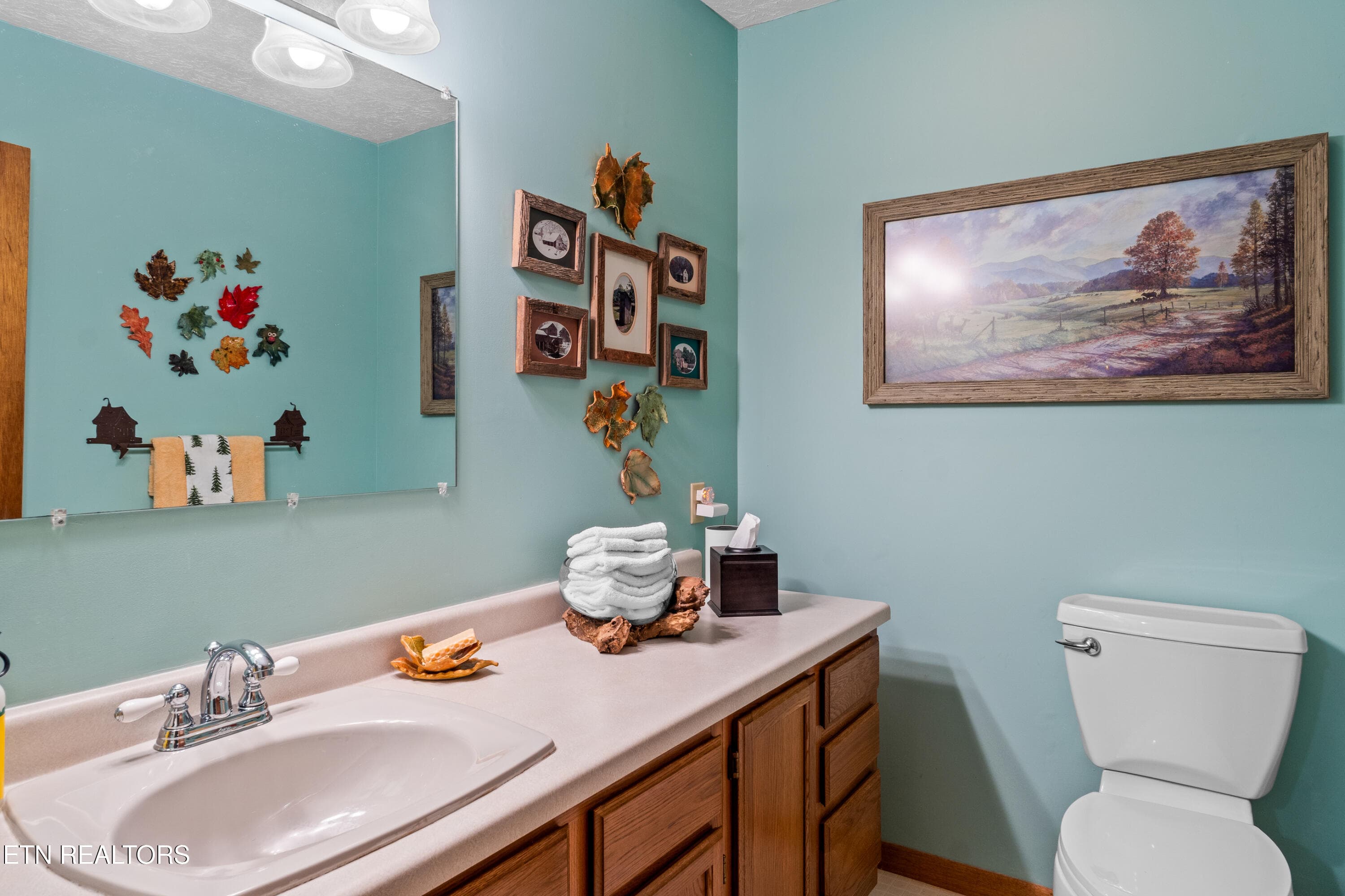 DSC04805 - 1043 Reagan Springs Rd, Townsend, TN 37882