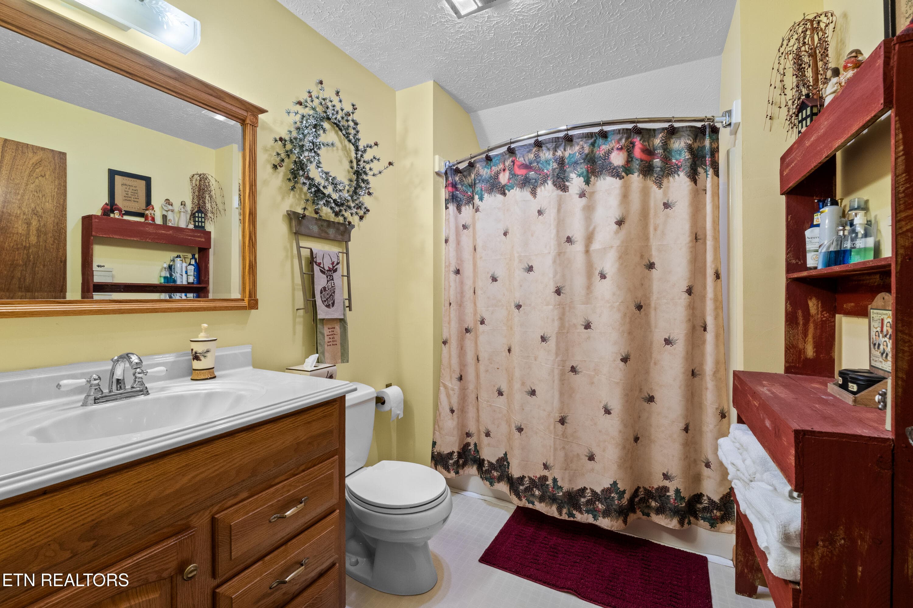 DSC04850 - 1043 Reagan Springs Rd, Townsend, TN 37882