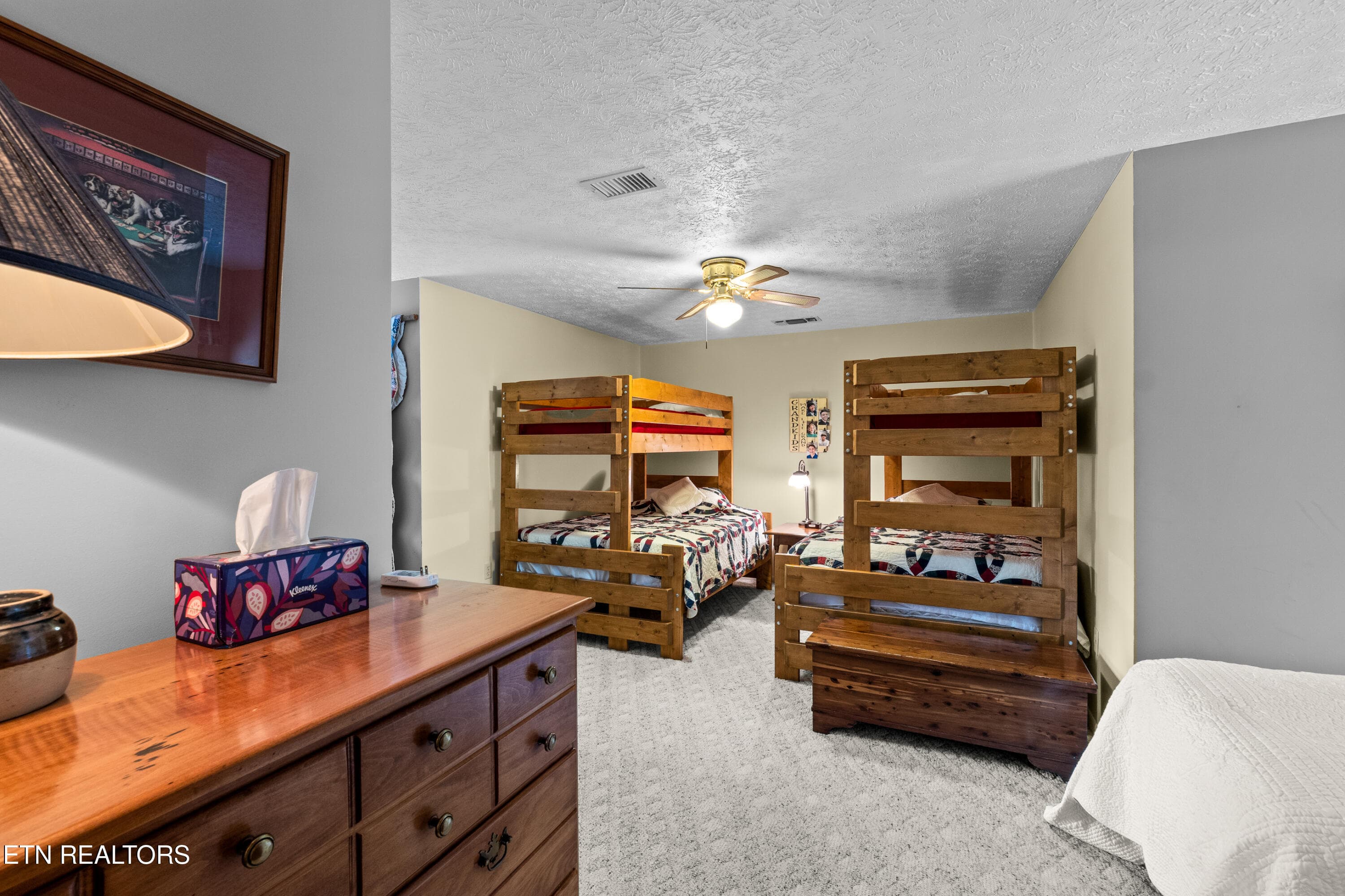 DSC04855 - 1043 Reagan Springs Rd, Townsend, TN 37882
