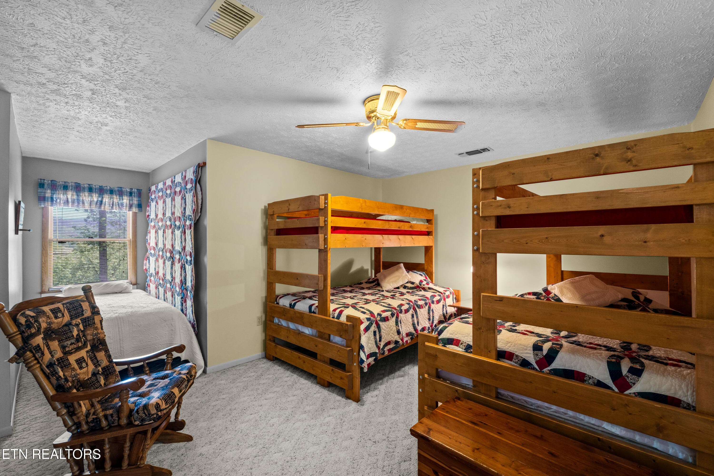 DSC04860 - 1043 Reagan Springs Rd, Townsend, TN 37882
