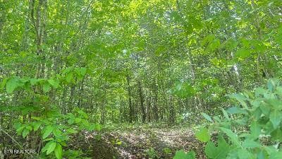 thumbnail (10) - Crestwood Drive, Speedwell, TN 37870