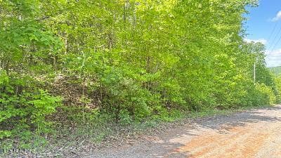 thumbnail (11) - Crestwood Drive, Speedwell, TN 37870