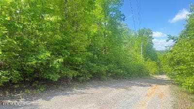 thumbnail (12) - Crestwood Drive, Speedwell, TN 37870