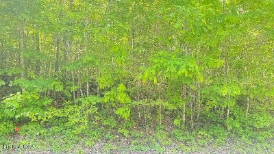 thumbnail (13) - Crestwood Drive, Speedwell, TN 37870