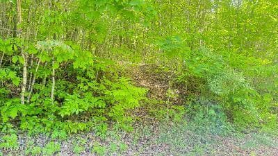 thumbnail (14) - Crestwood Drive, Speedwell, TN 37870