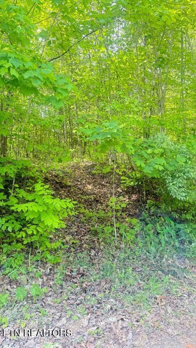 thumbnail (15) - Crestwood Drive, Speedwell, TN 37870