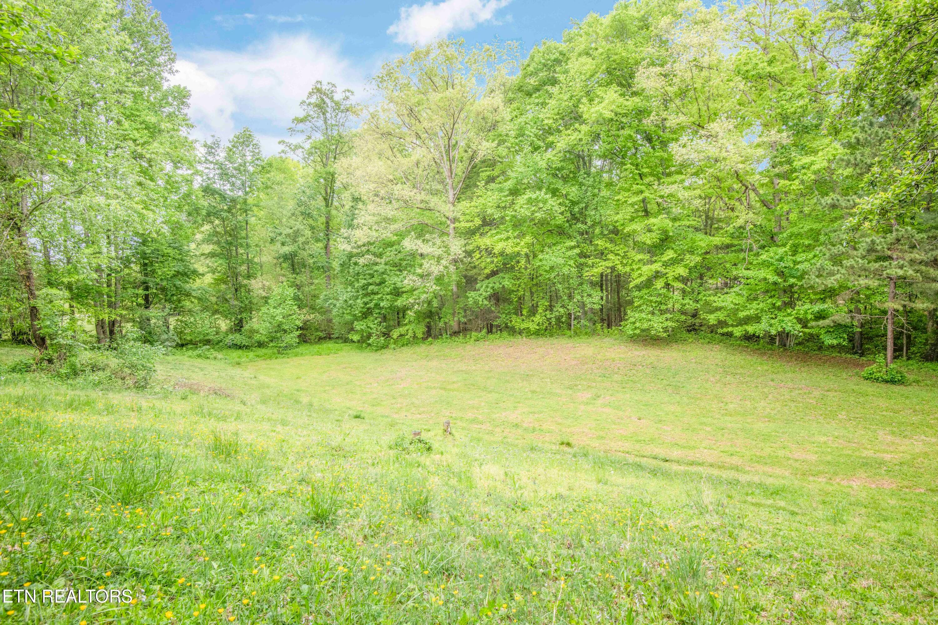 yard 1_1 - 355 Eli Lane, Oneida, TN 37841