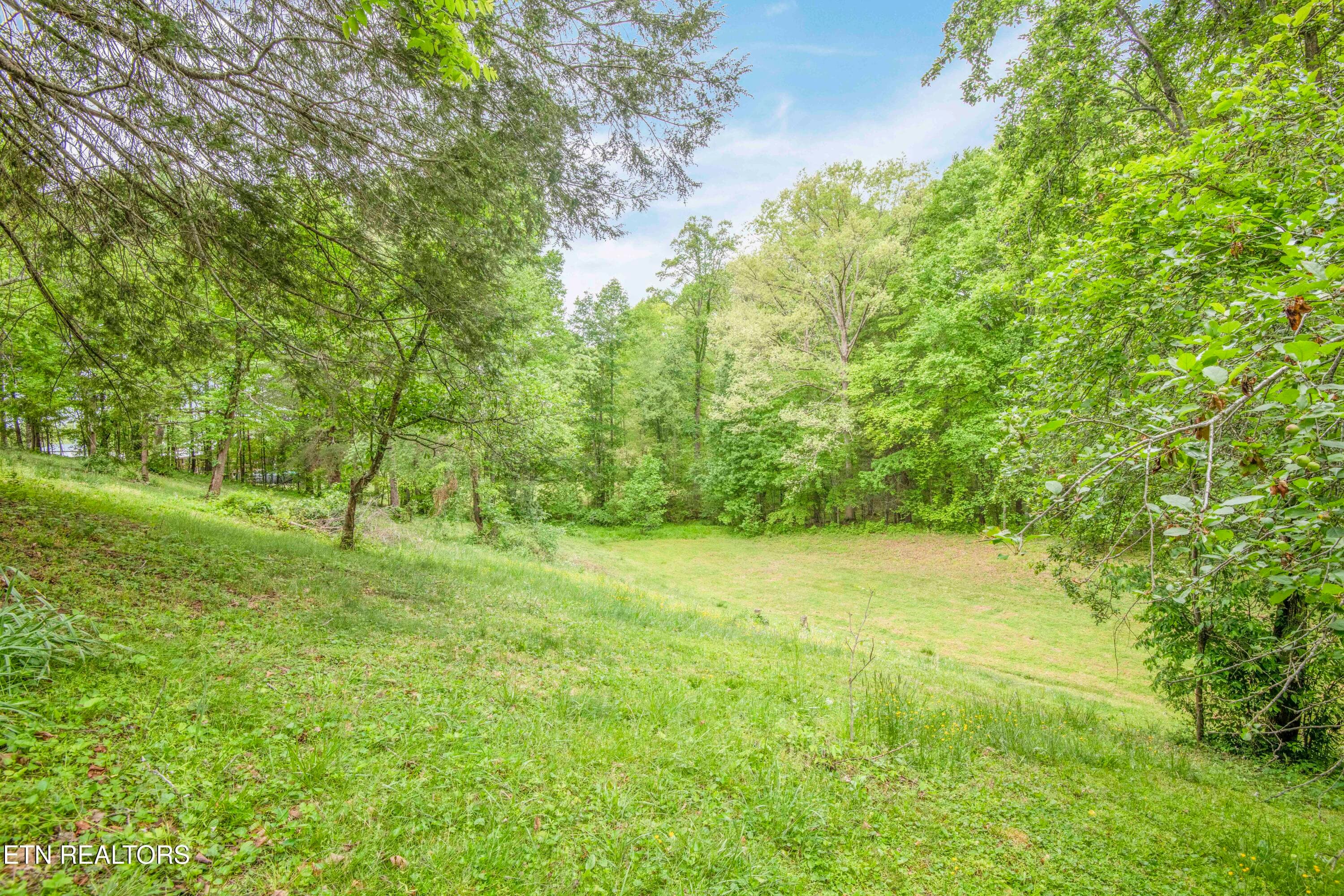 yard 2_1 - 355 Eli Lane, Oneida, TN 37841