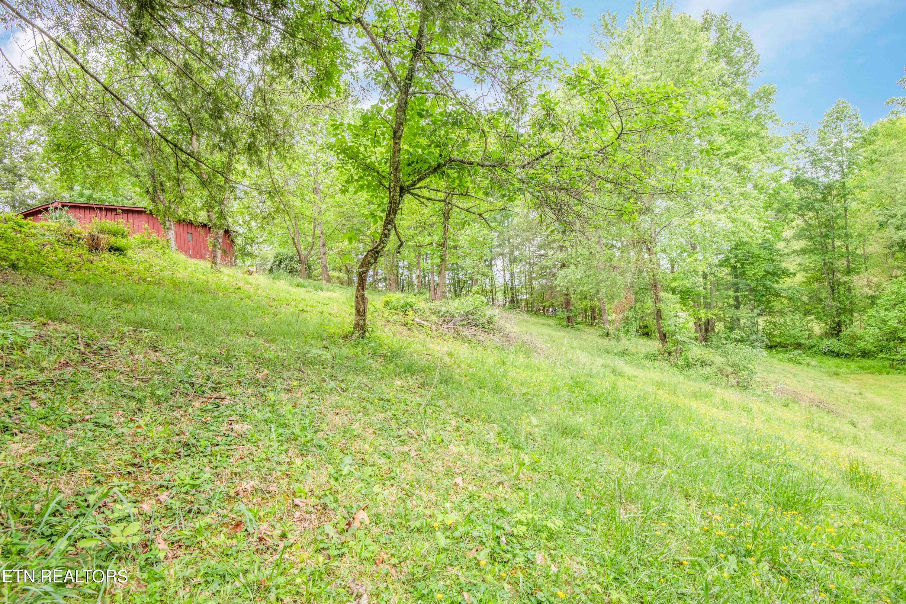 yard 3_1 - 355 Eli Lane, Oneida, TN 37841
