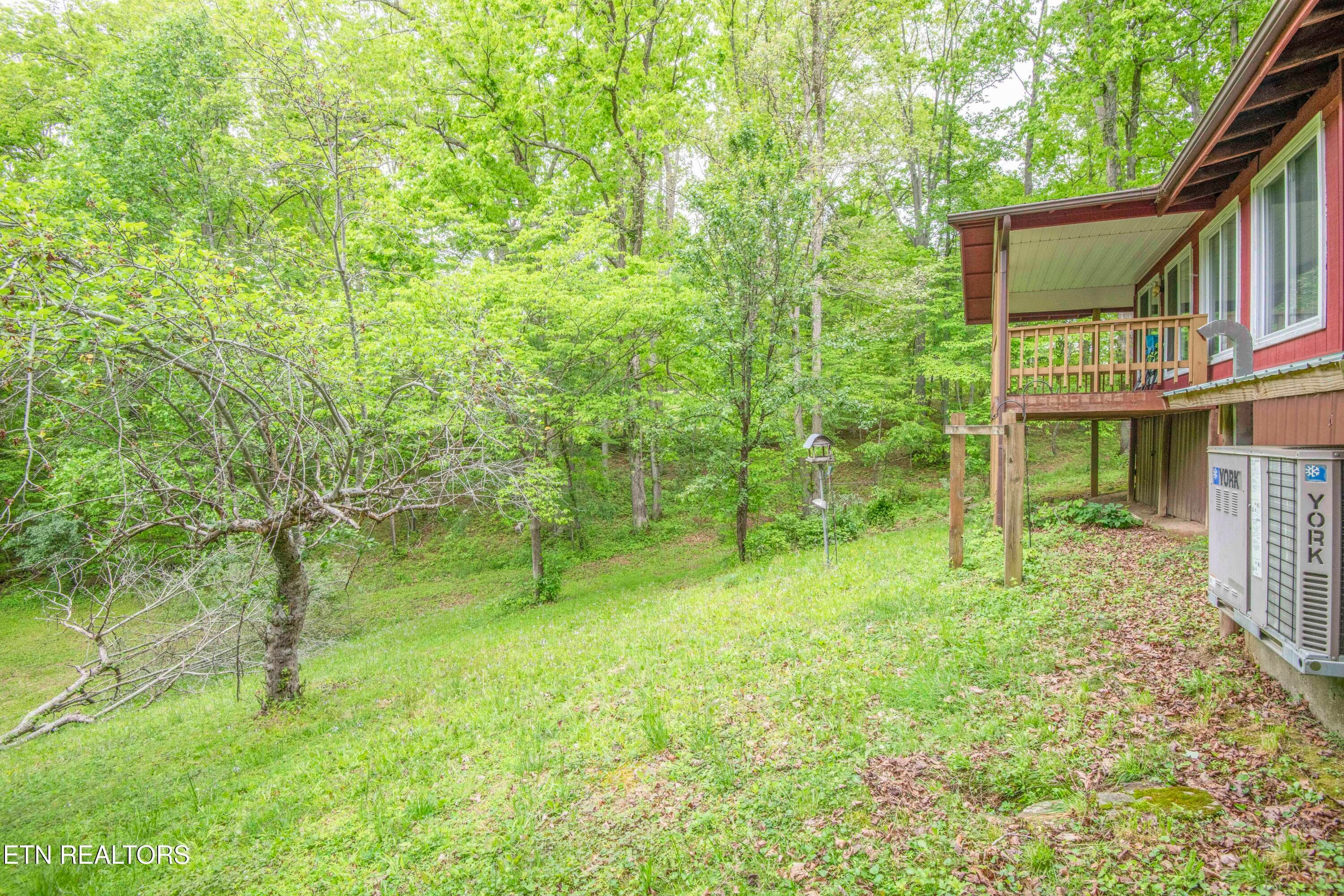 yard 4_1 - 355 Eli Lane, Oneida, TN 37841