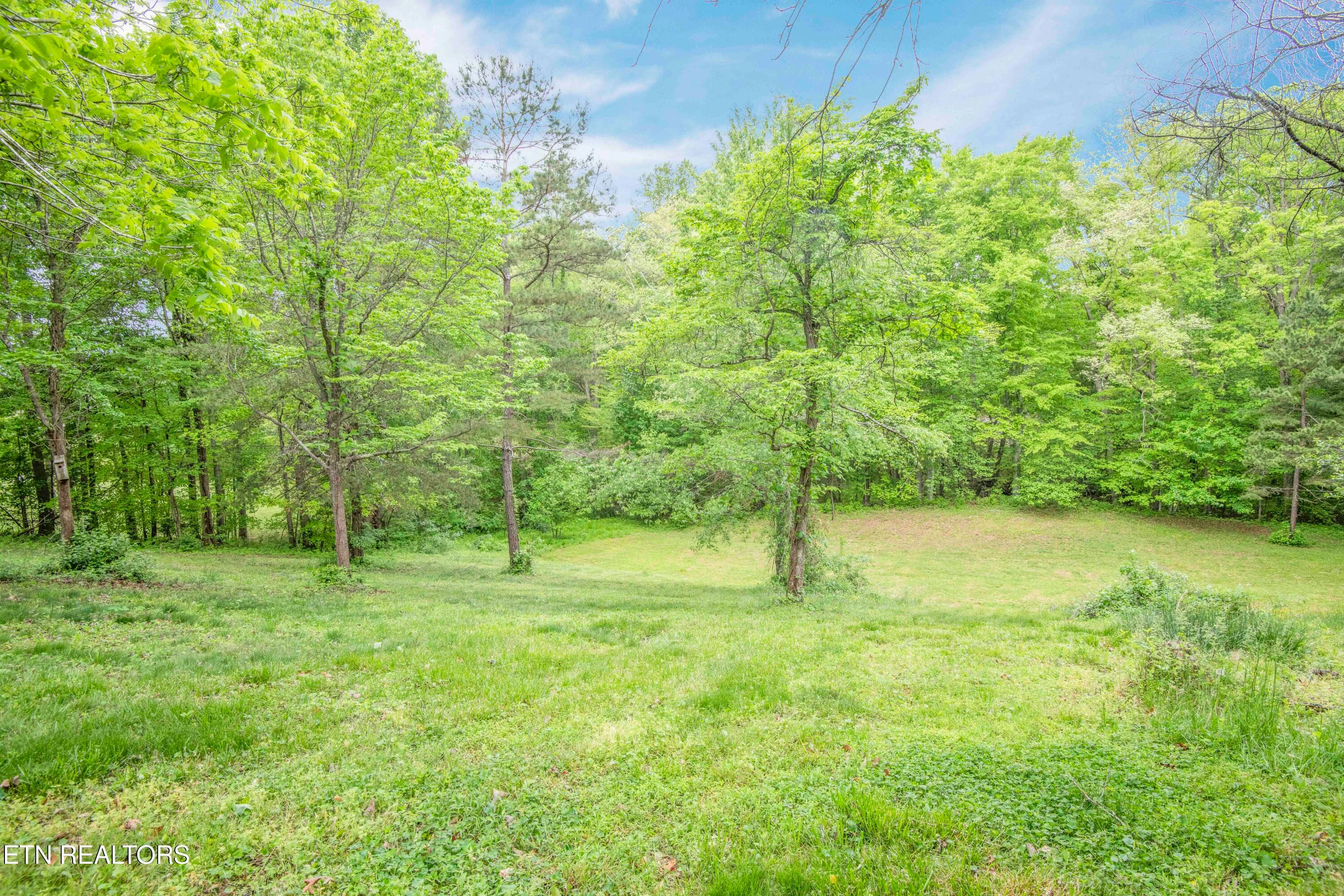 yard 5_1 - 355 Eli Lane, Oneida, TN 37841