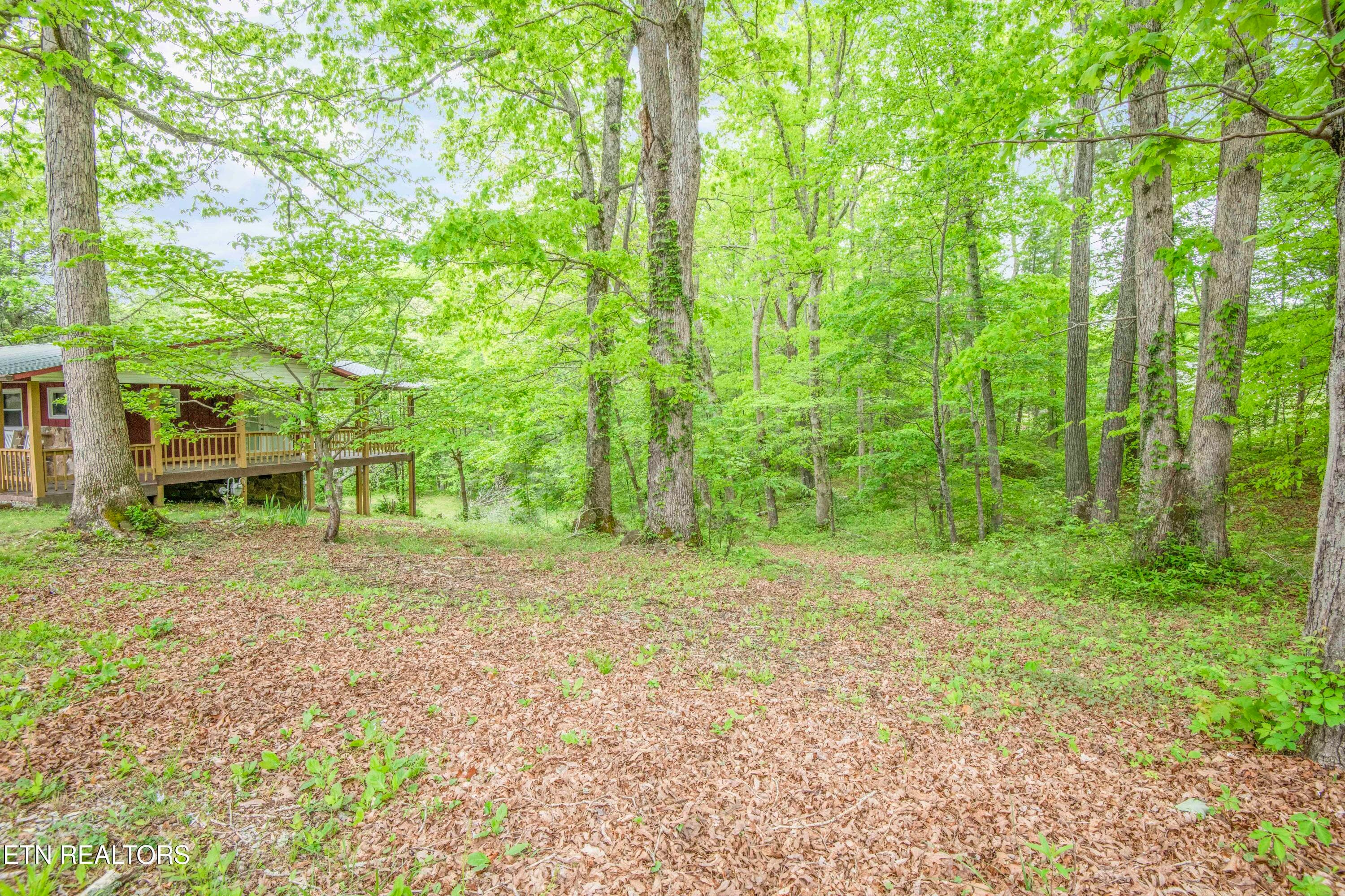 Private Setting - 355 Eli Lane, Oneida, TN 37841