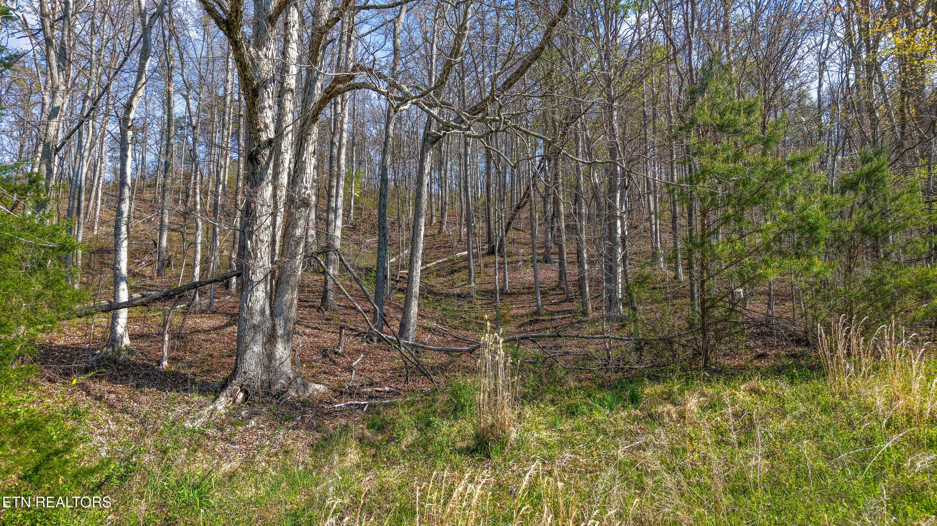 IMG_0208 - 542 Back Valley Rd, Sneedville, TN 37869, Sneedville