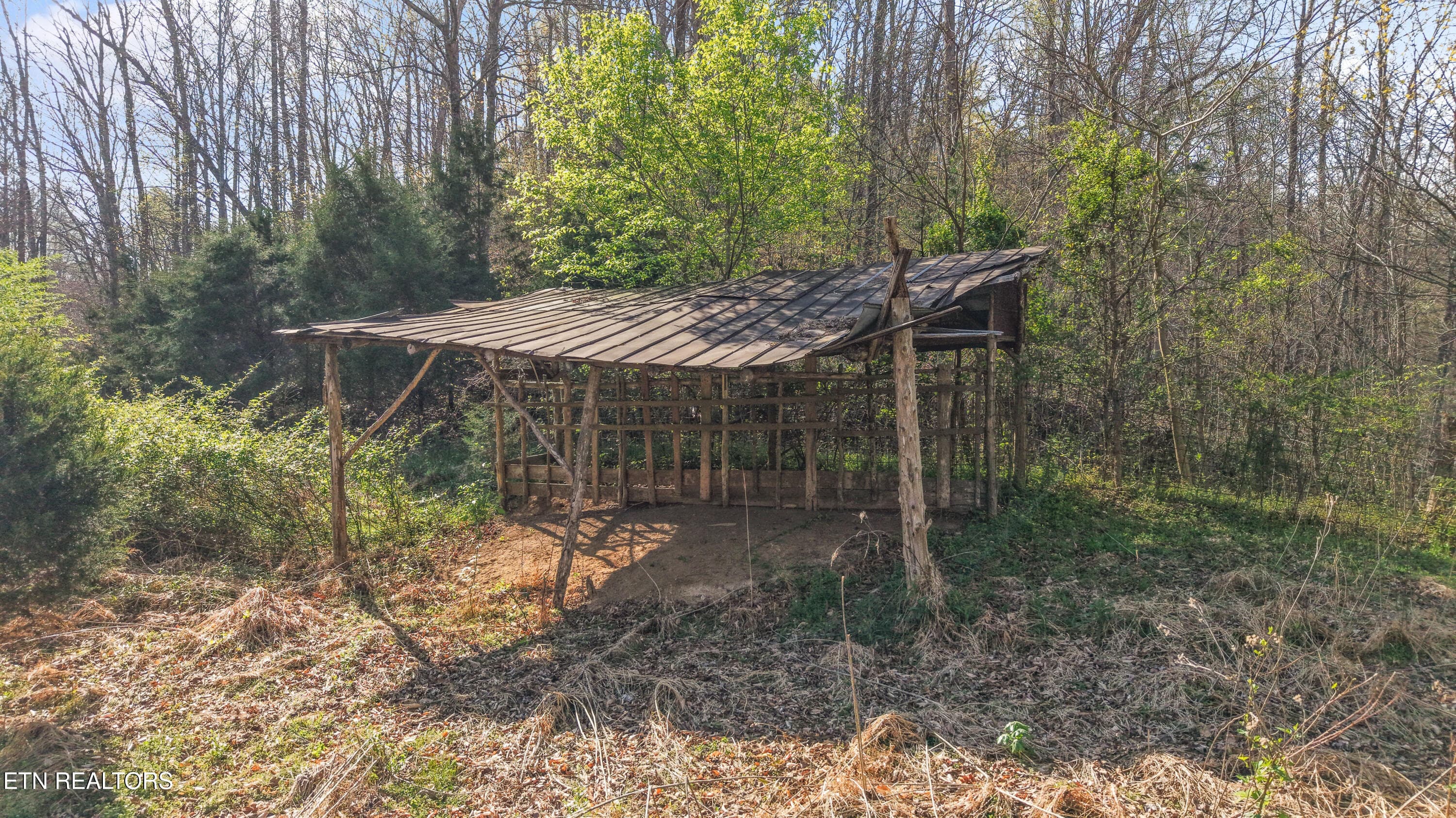 IMG_0202 - 542 Back Valley Rd, Sneedville, TN 37869, Sneedville