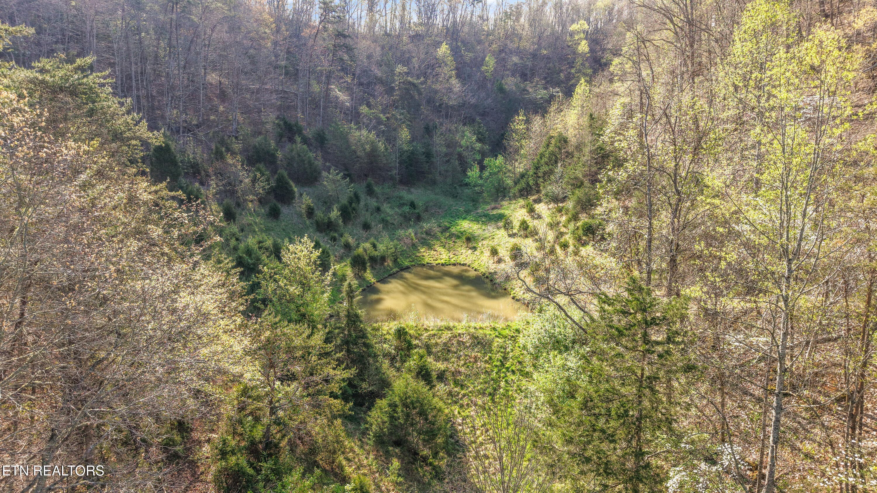 IMG_0206 - 542 Back Valley Rd, Sneedville, TN 37869, Sneedville