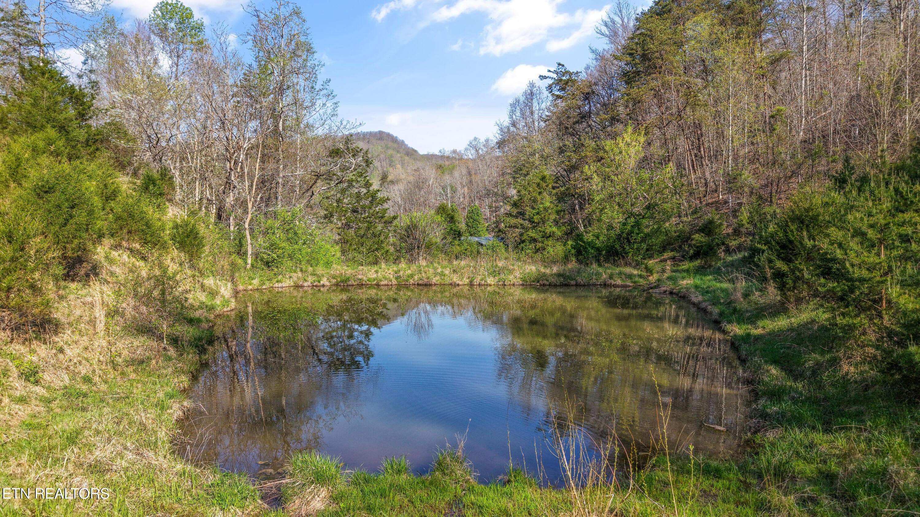 IMG_0207 - 542 Back Valley Rd, Sneedville, TN 37869, Sneedville