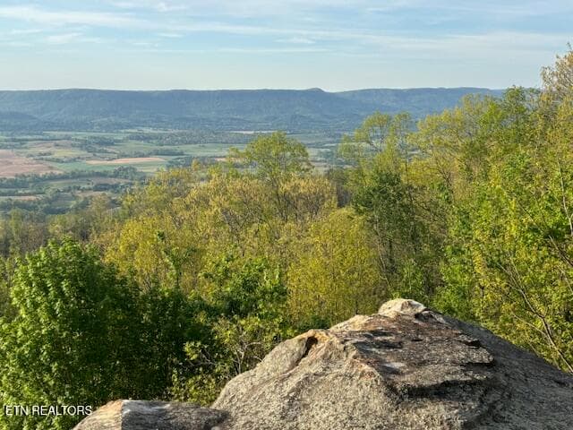 IMG_0075 - 0 Gray Rock View, Pikeville, TN 37367