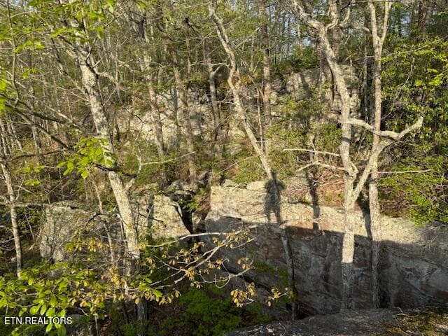 IMG_0078 - 0 Gray Rock View, Pikeville, TN 37367