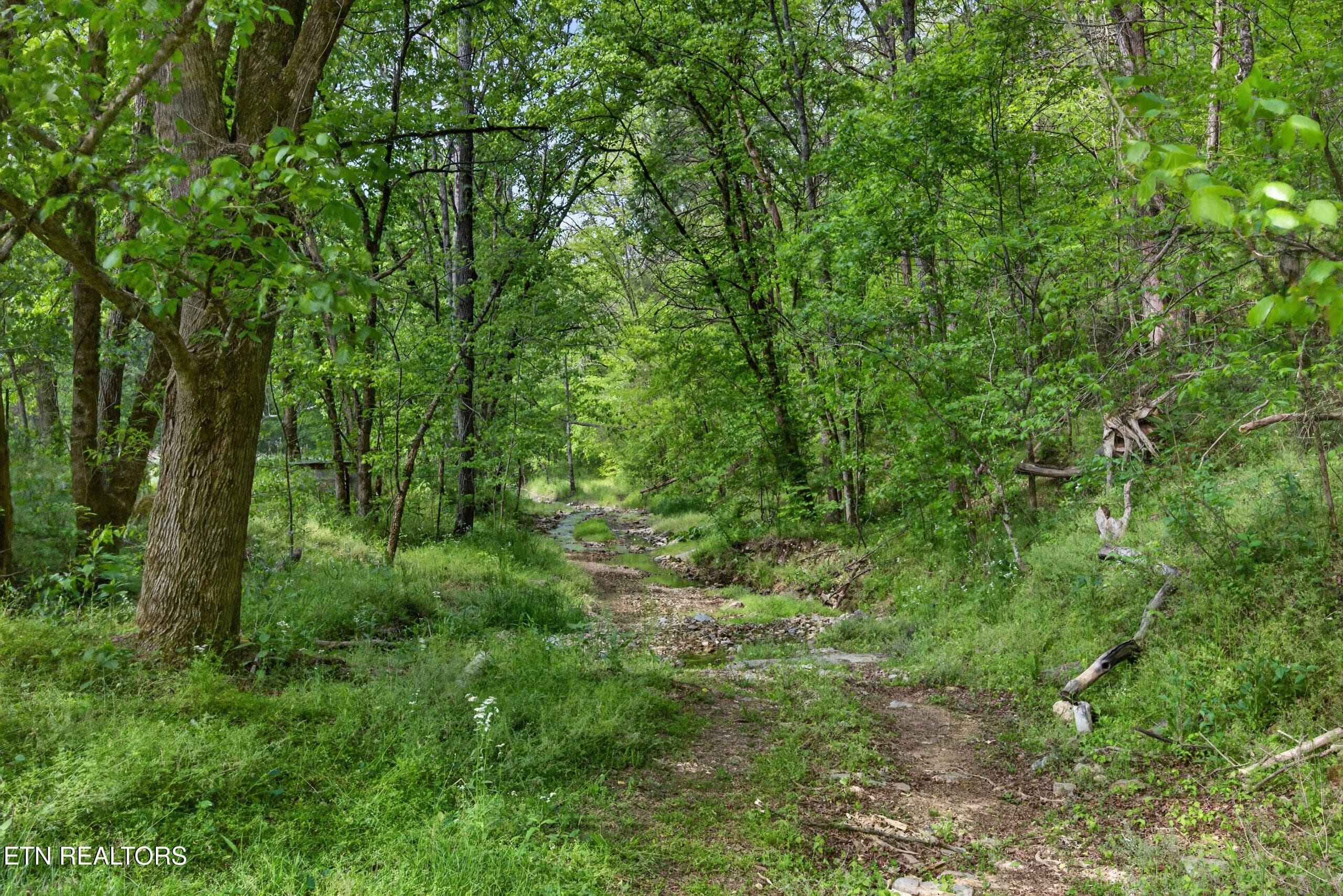 21-8N5A6310 - 700 Ben Birdwell Lane, Bloomington Springs, TN 38545
