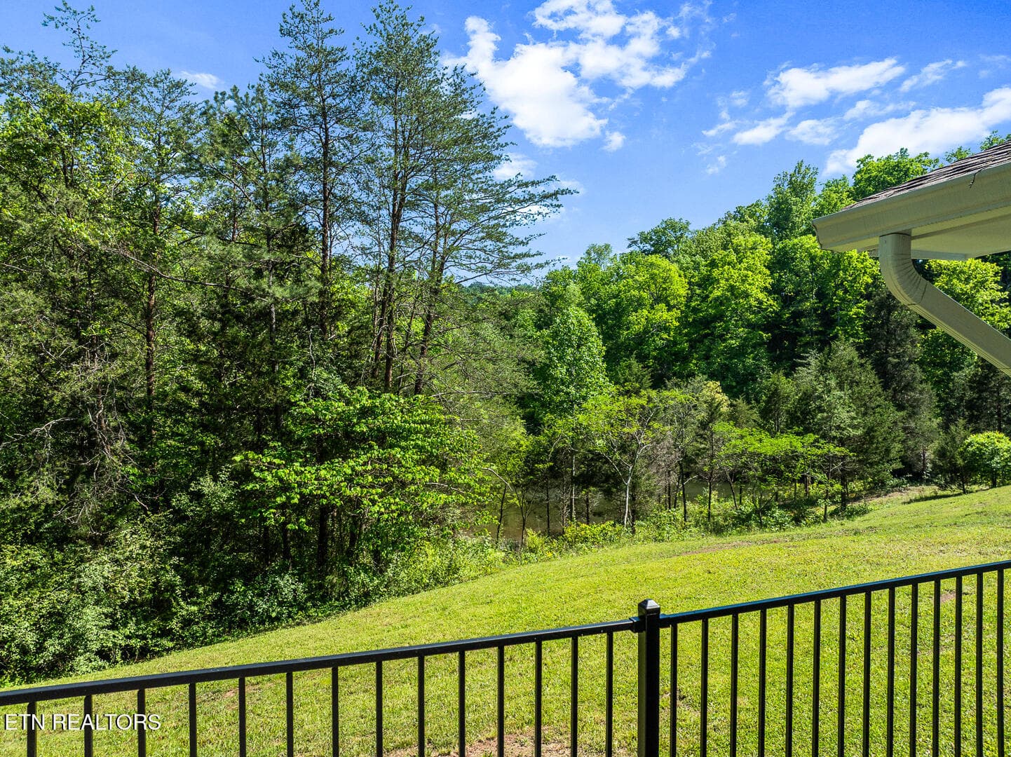 DJI_0676 - 6842 Four Mile Rd, Maryville, TN 37803