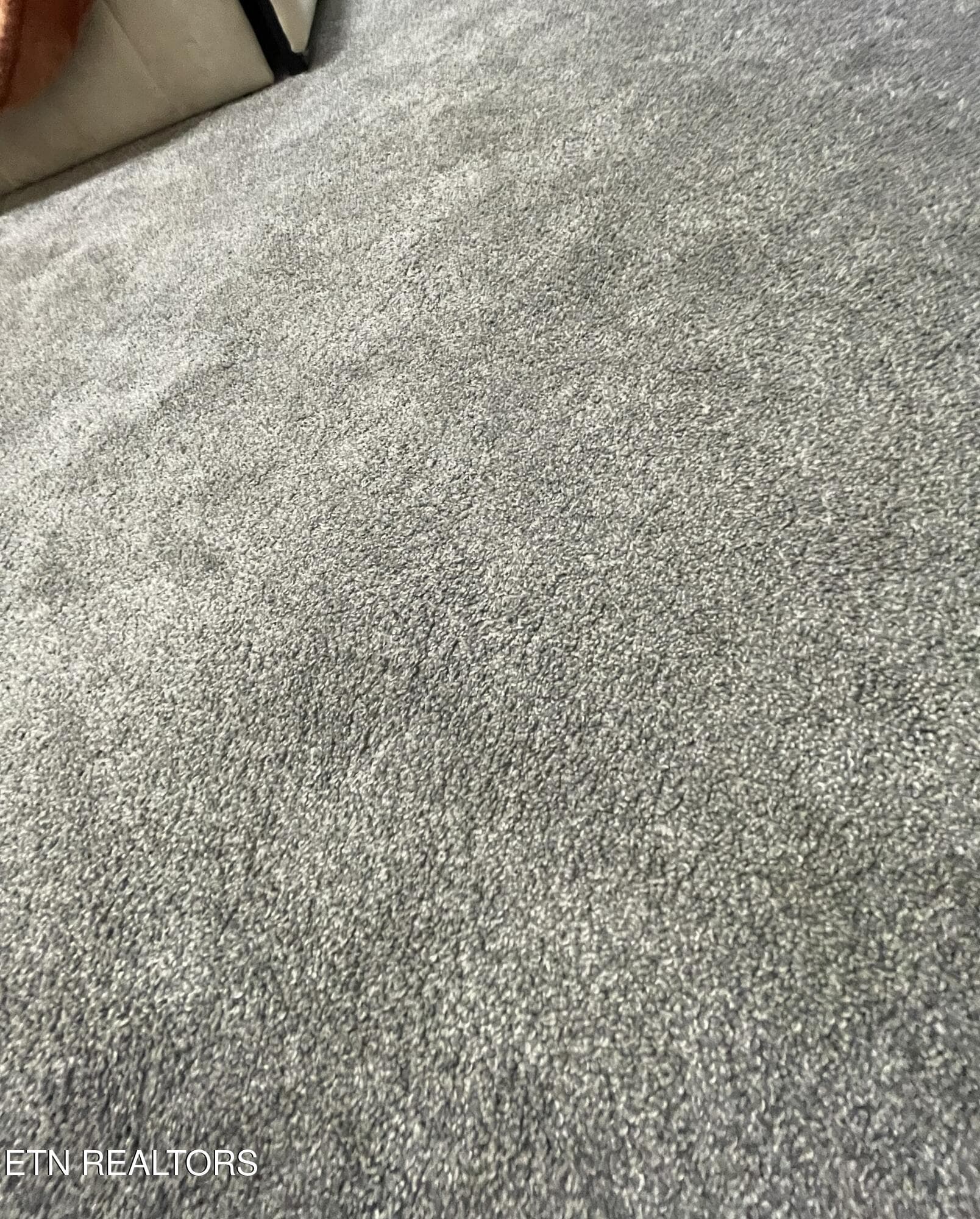 Carpet - 3831 Cherokee Woods Way 102, Knoxville, TN 37920, Knoxville