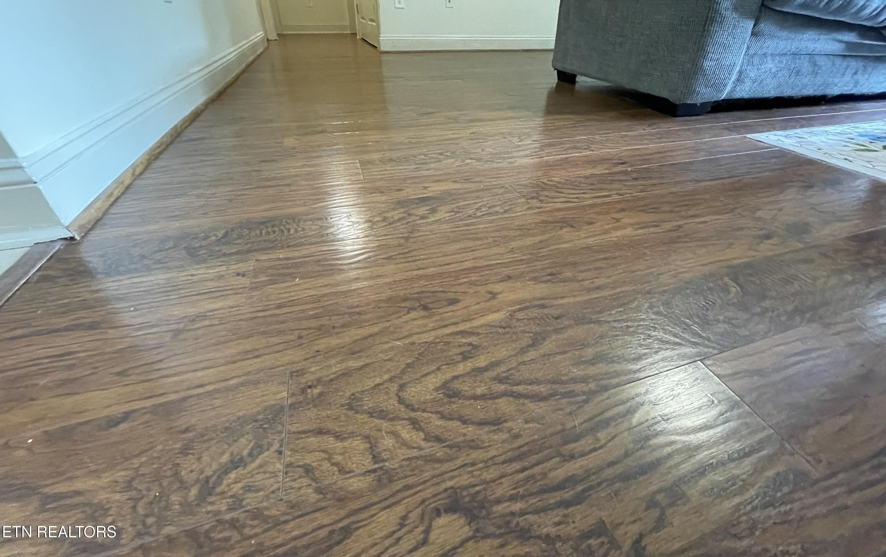 LVP - 3831 Cherokee Woods Way 102, Knoxville, TN 37920, Knoxville