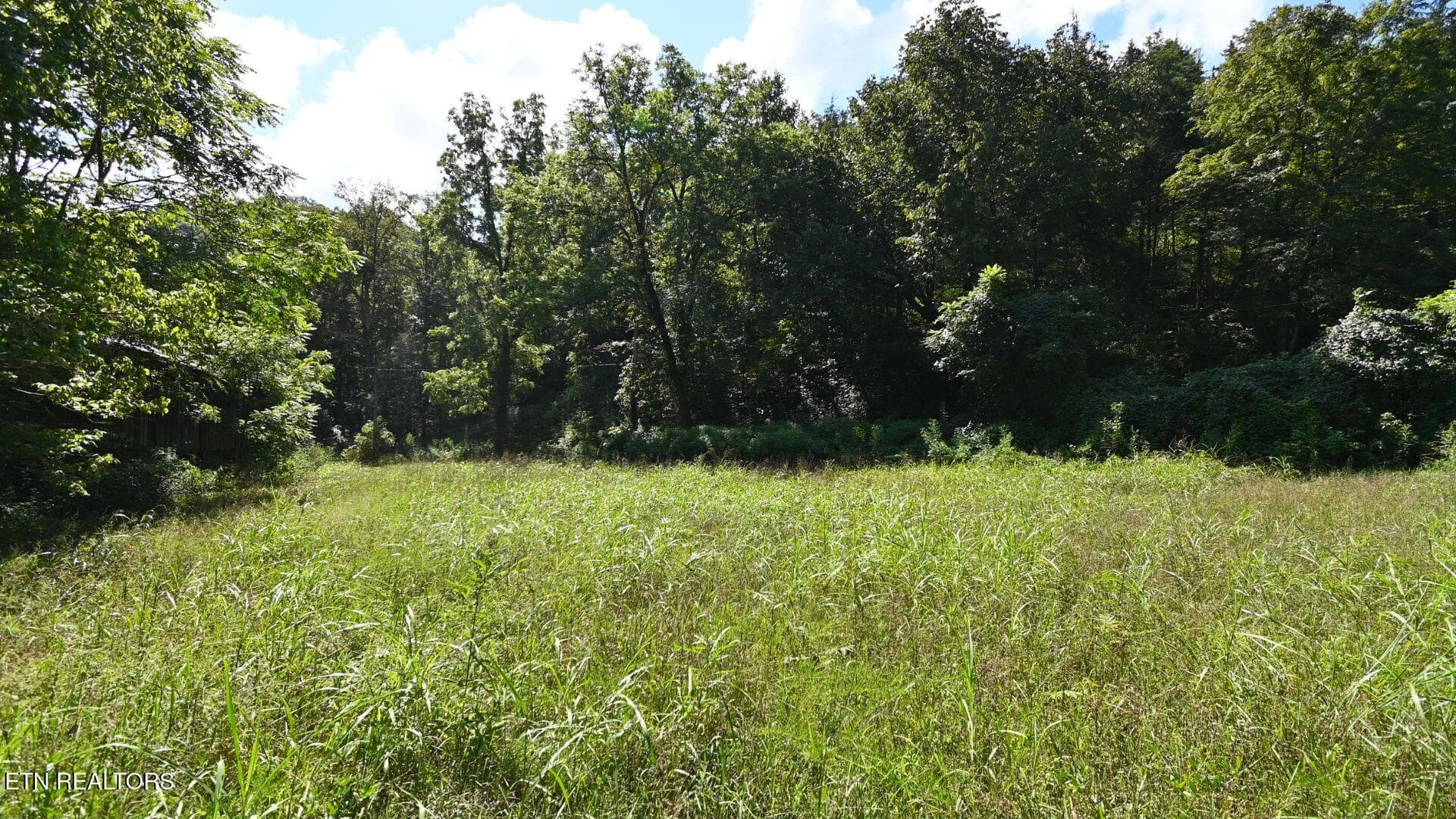 3 - 3665 Fisher Valley Rd, Kyles Ford, TN 37765