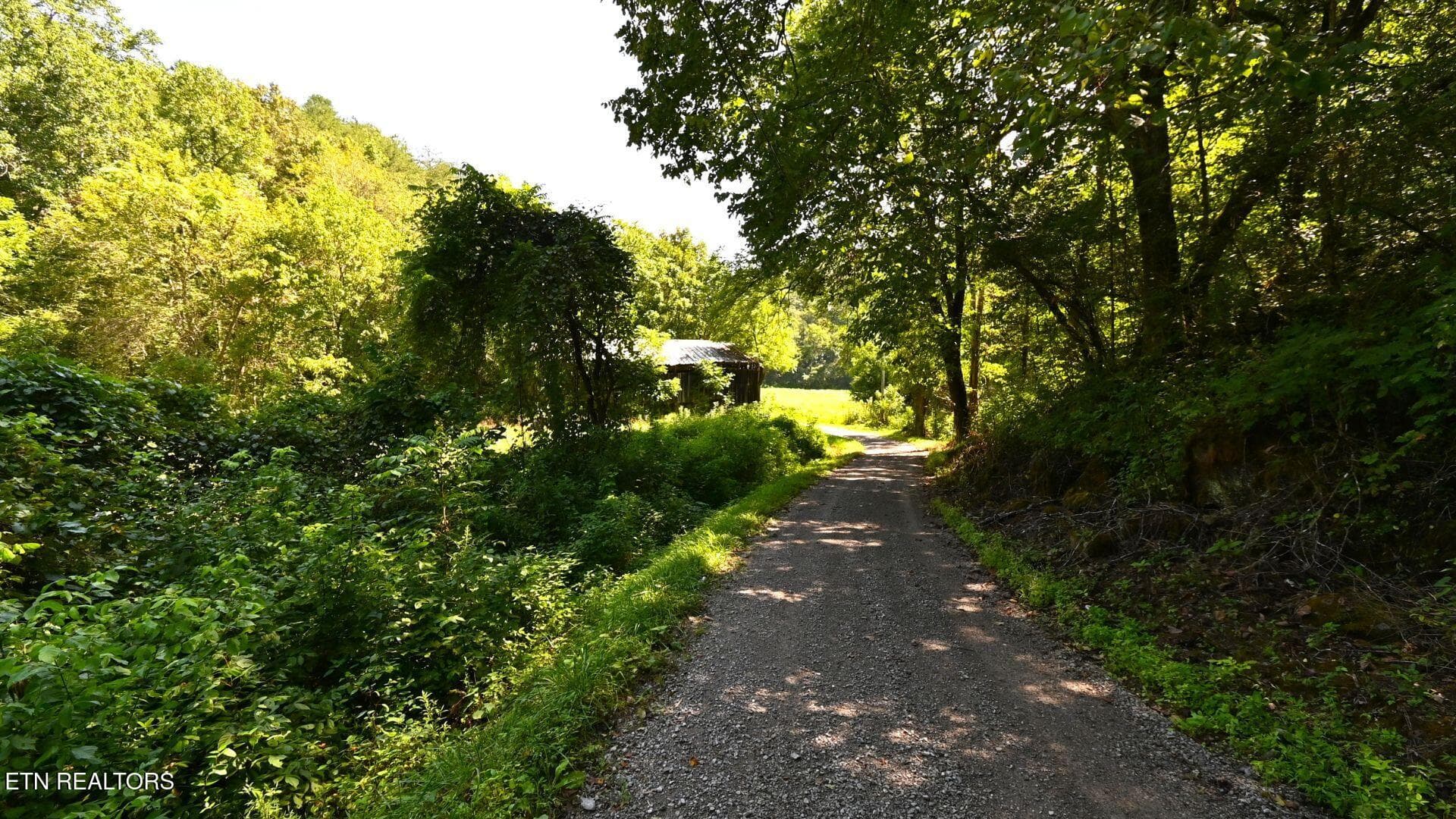 5 - 3665 Fisher Valley Rd, Kyles Ford, TN 37765