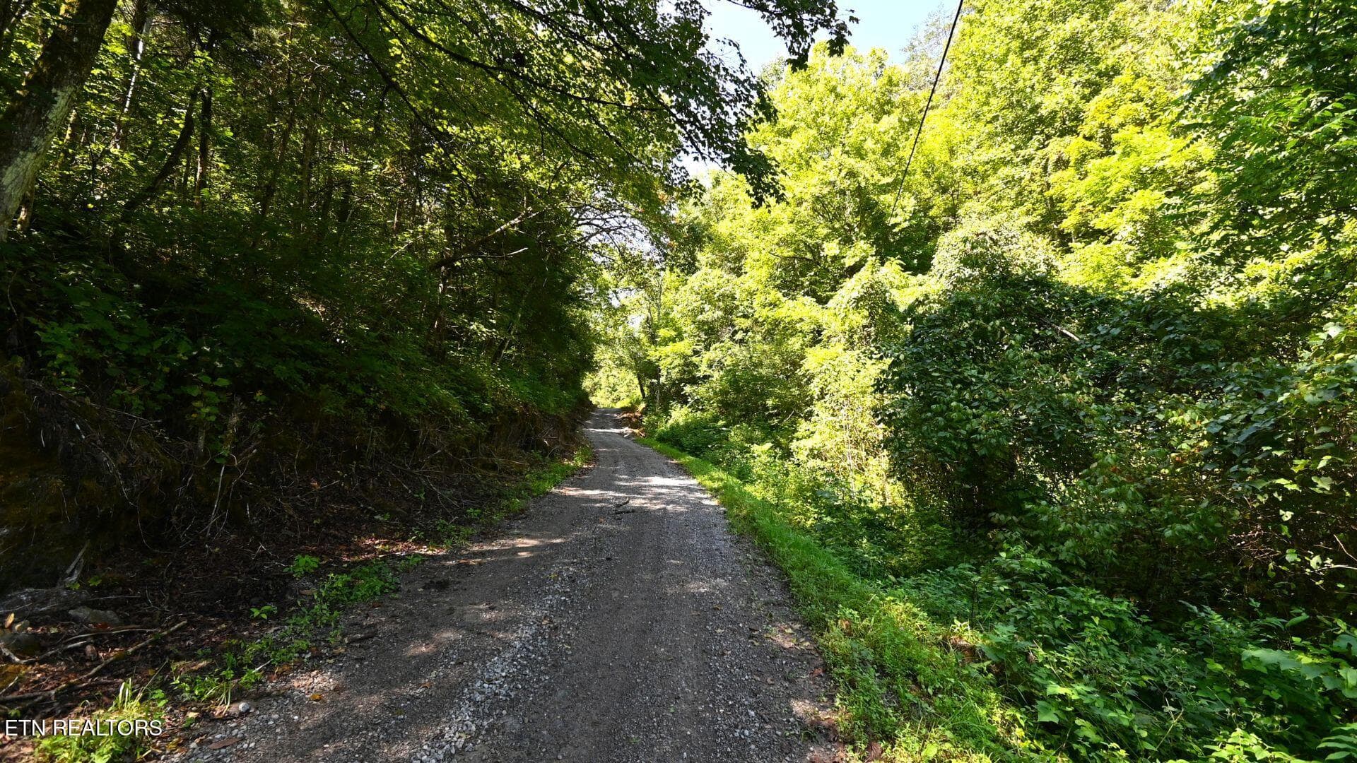 4 - 3665 Fisher Valley Rd, Kyles Ford, TN 37765