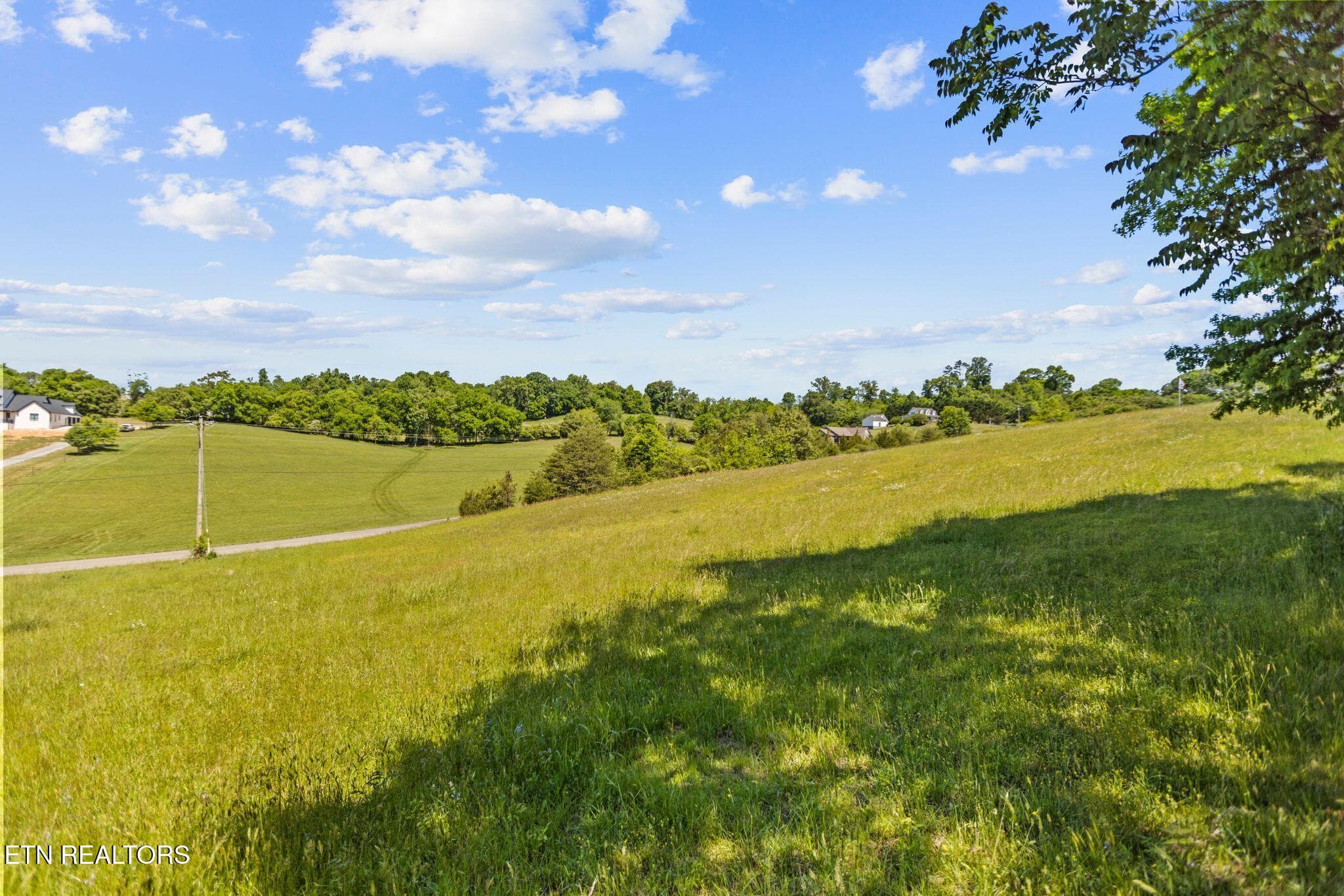 Nice neighborhood with houses spread out - lot 44 Holston River Drive, Rutledge, TN 37861