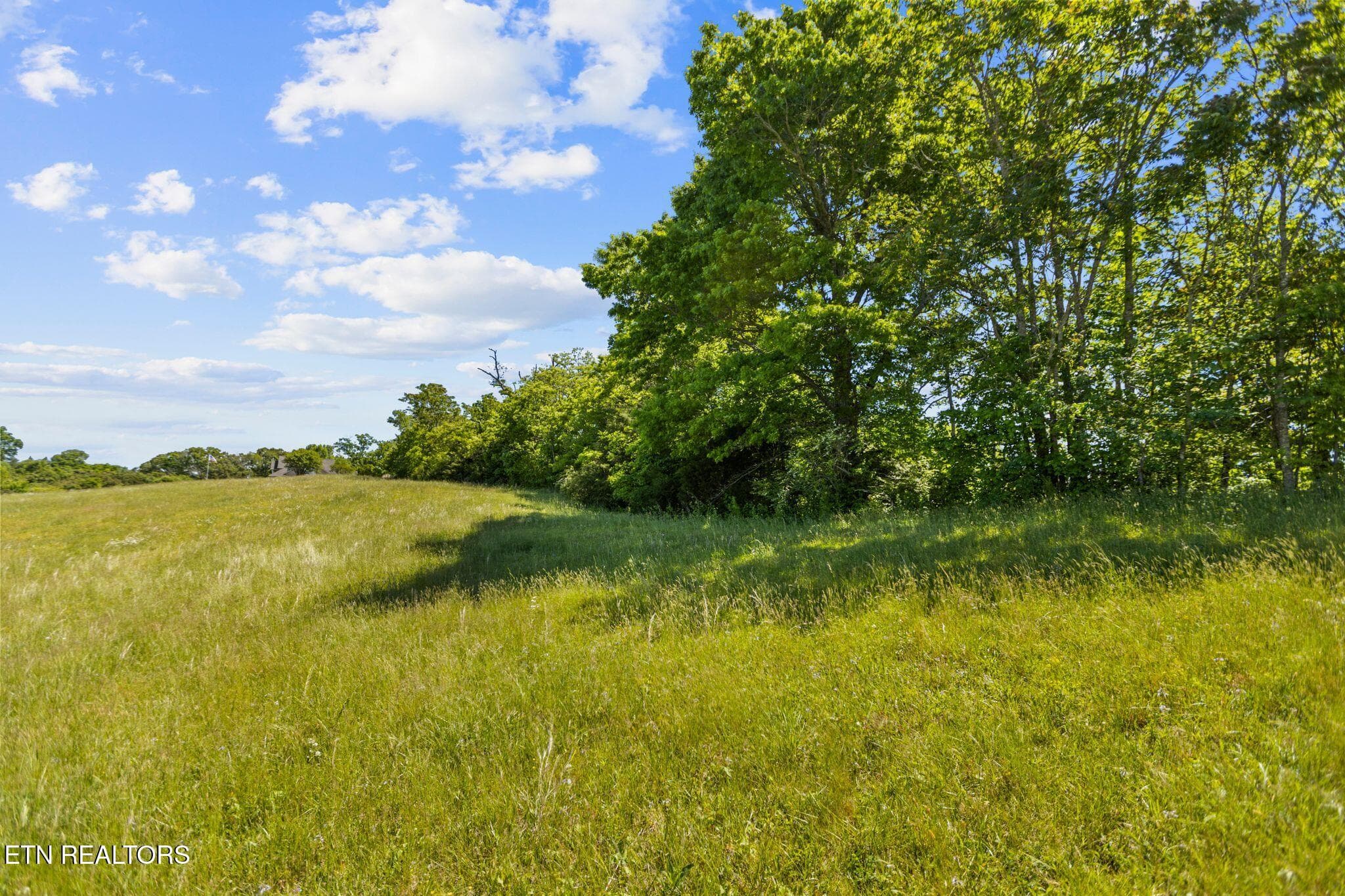 There electricity and public water - lot 44 Holston River Drive, Rutledge, TN 37861