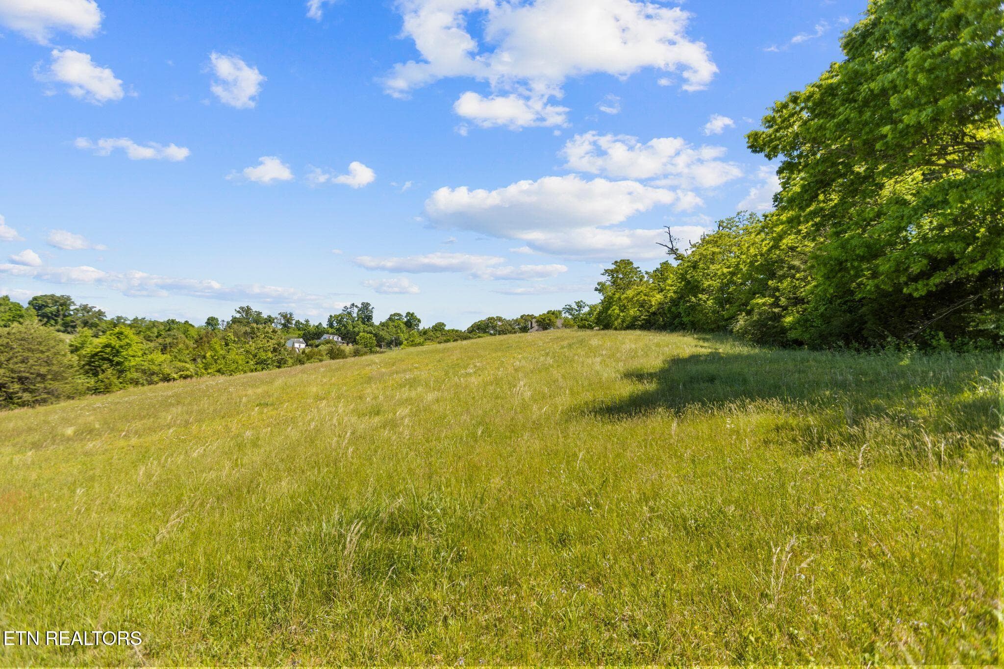 Soil test is on file - lot 44 Holston River Drive, Rutledge, TN 37861