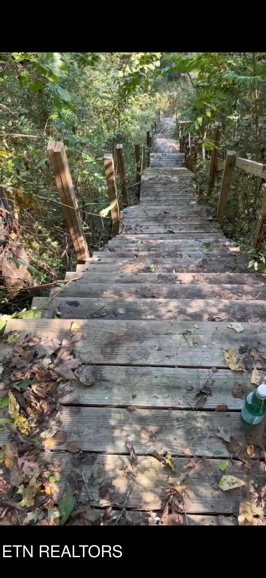 Steps today - lot 44 Holston River Drive, Rutledge, TN 37861