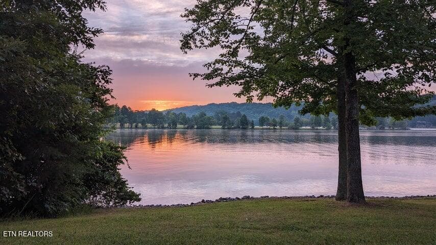 20260224192102817969000000-o - 199 Piney Bay Lane, Spring City, TN 37381