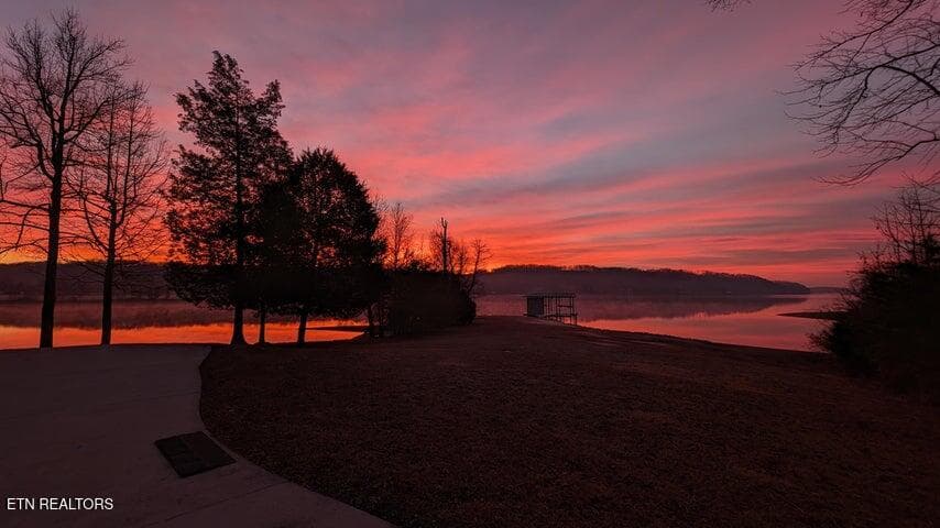 20260224191428819416000000-o - 199 Piney Bay Lane, Spring City, TN 37381