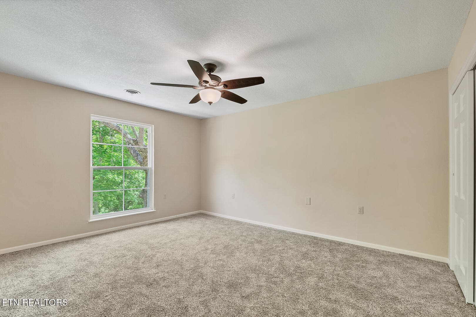 Primary Bedroom - 6842 Four Mile Rd, Maryville, TN 37803